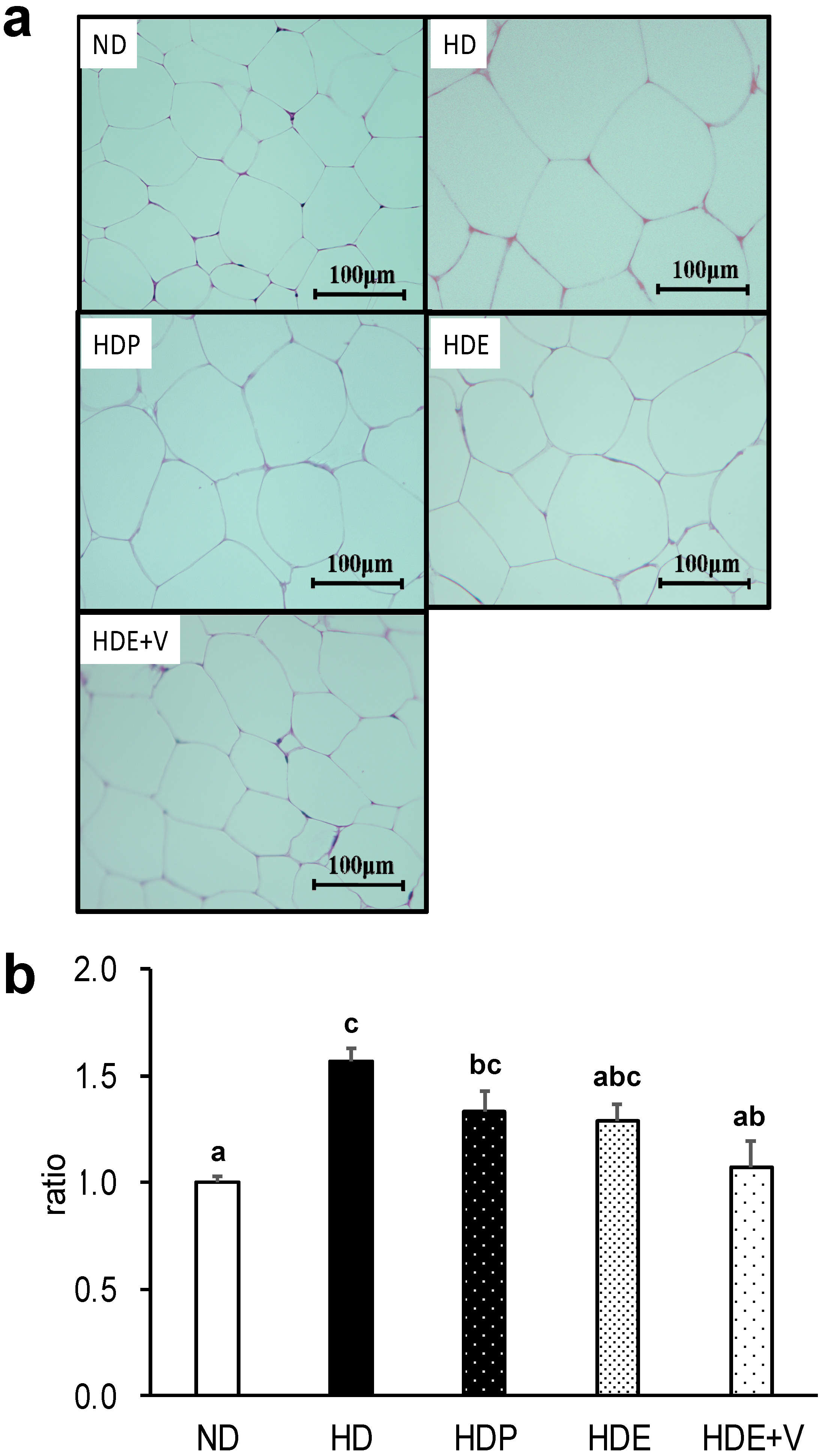 Nutrients Free Full Text Simultaneous Intake Of Euglena Gracilis And Vegetables Exerts Synergistic Anti Obesity And Anti Inflammatory Effects By Modulating The Gut Microbiota In Diet Induced Obese Mice