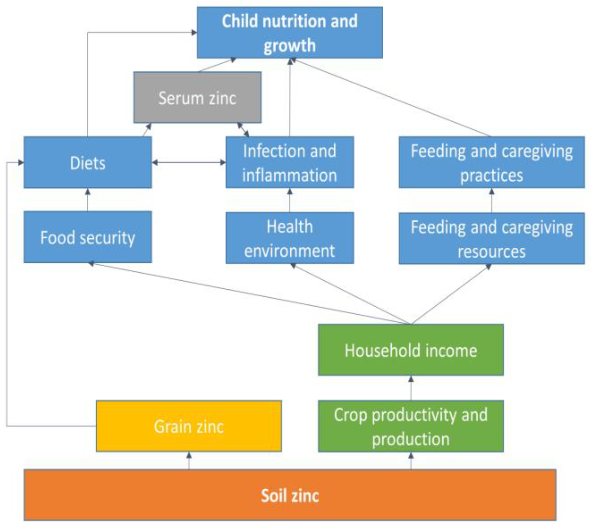 Enriching farmland soil can help prevent childhood stunting