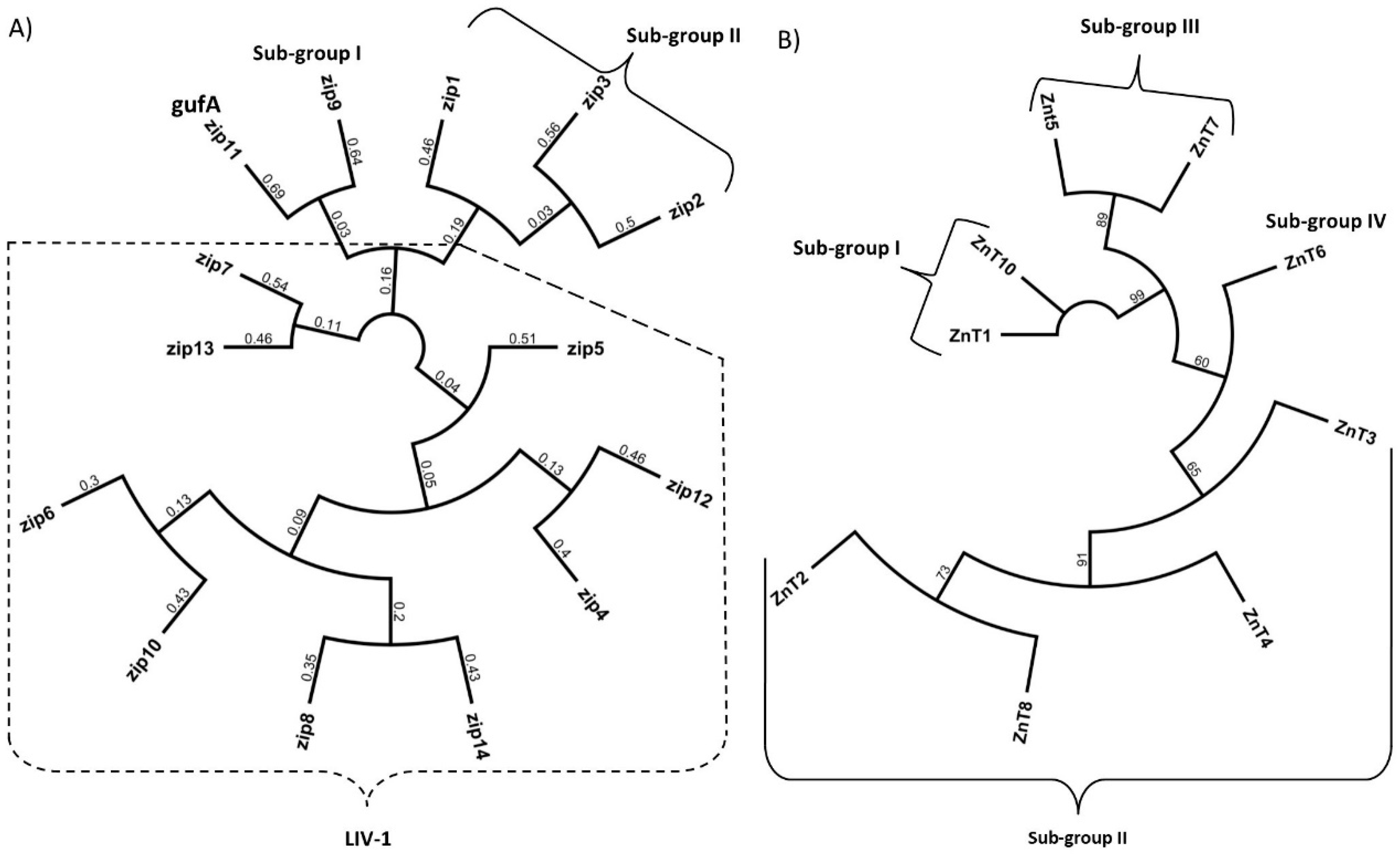 Nutrients 11 00408 g001