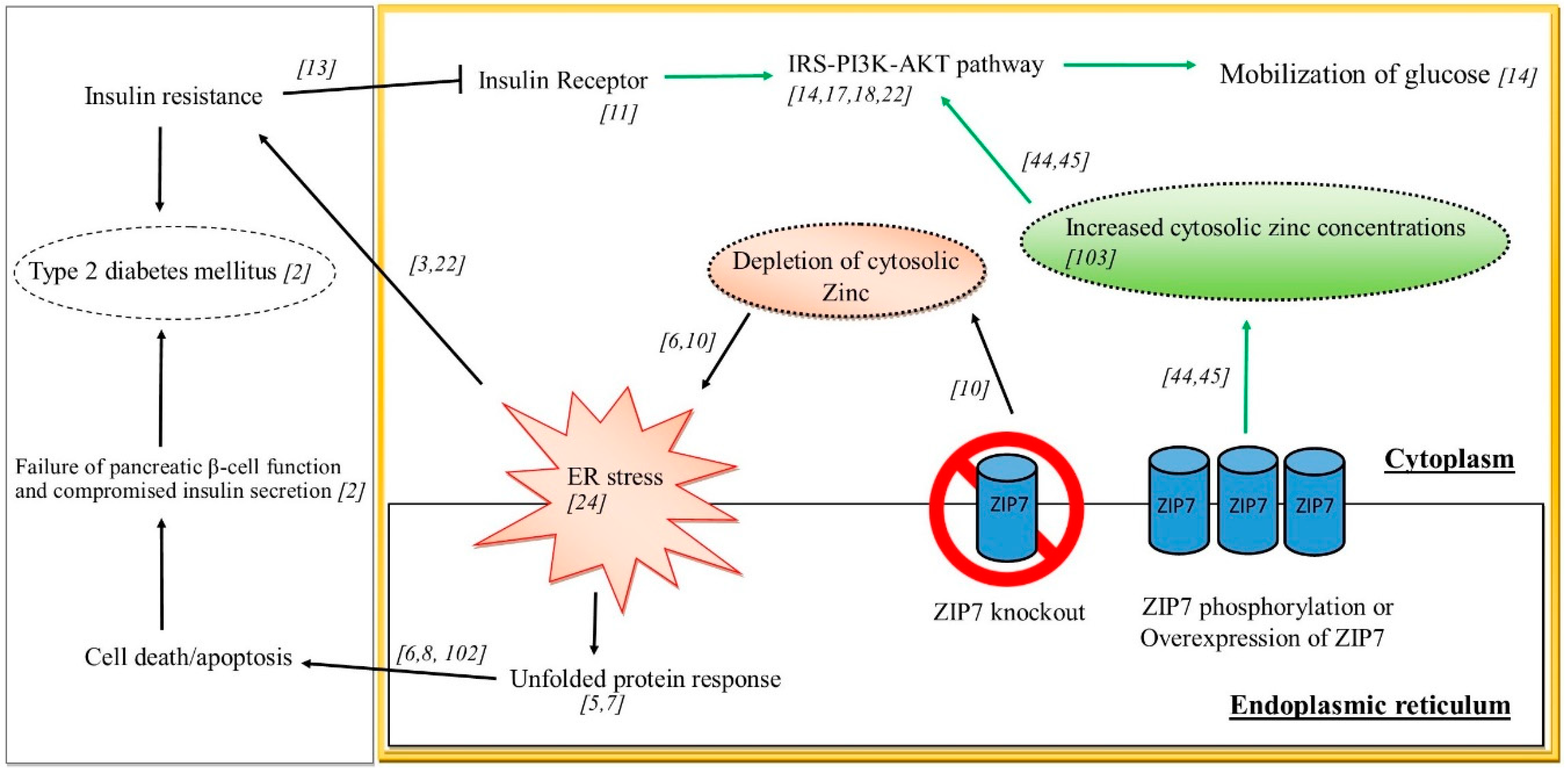 Nutrients 11 00408 g002