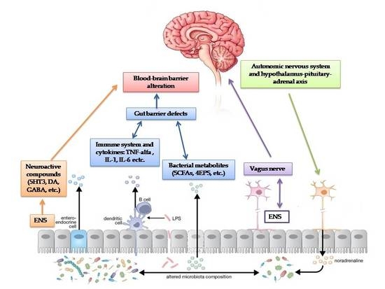 Nutrients | Free Full-Text | Autism Spectrum Disorders and the Gut  Microbiota | HTML