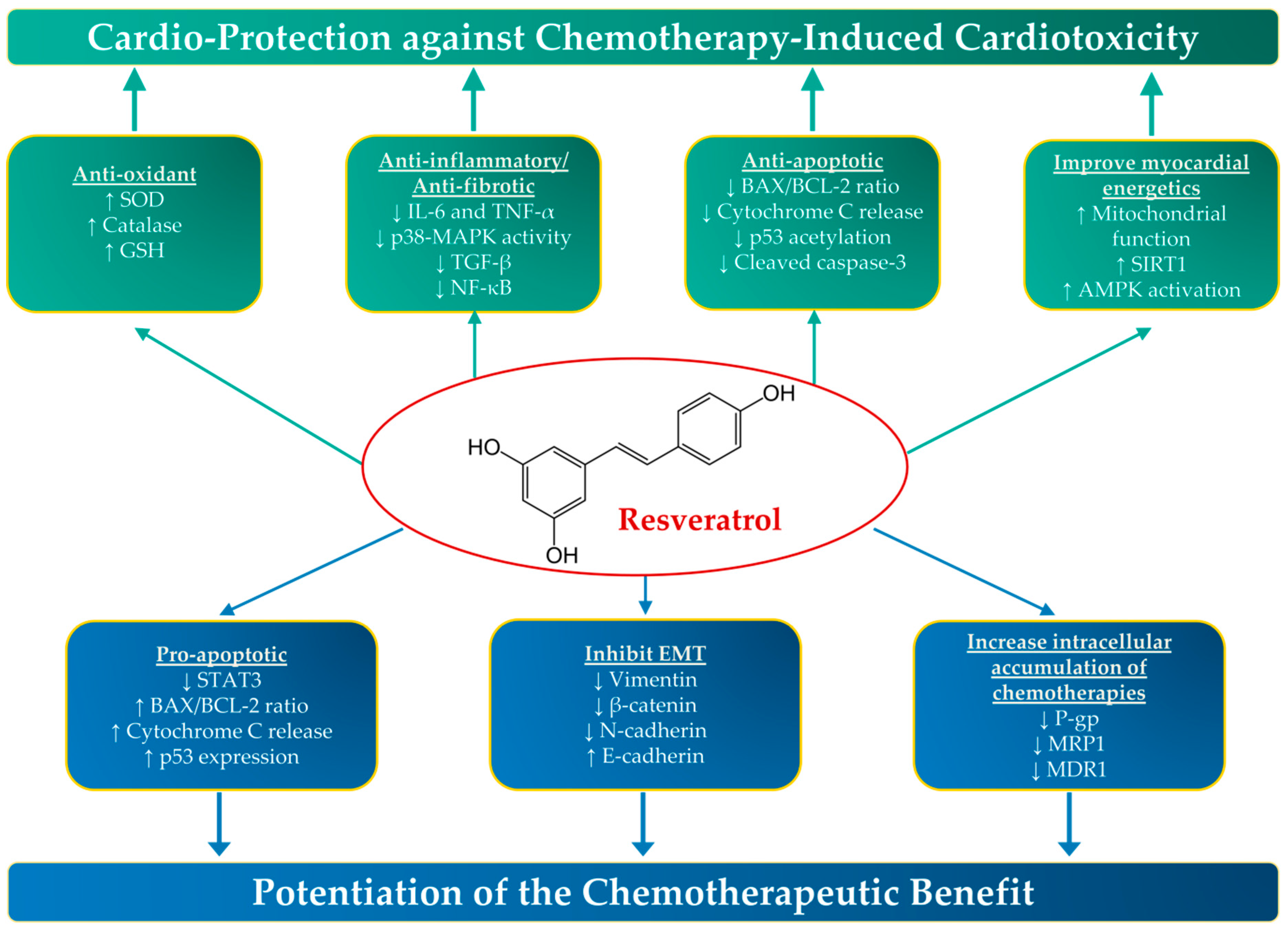 Nutrients | Free Full-Text | Leveraging the Cardio-Protective and  Anticancer Properties of Resveratrol in Cardio-Oncology