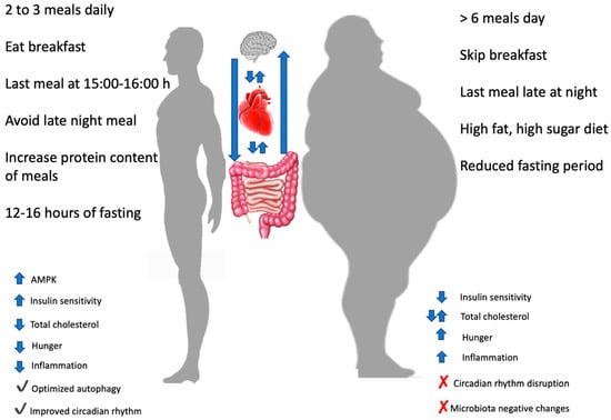 Nutrients | Special Issue : Health Effects of Intermittent Fasting: How