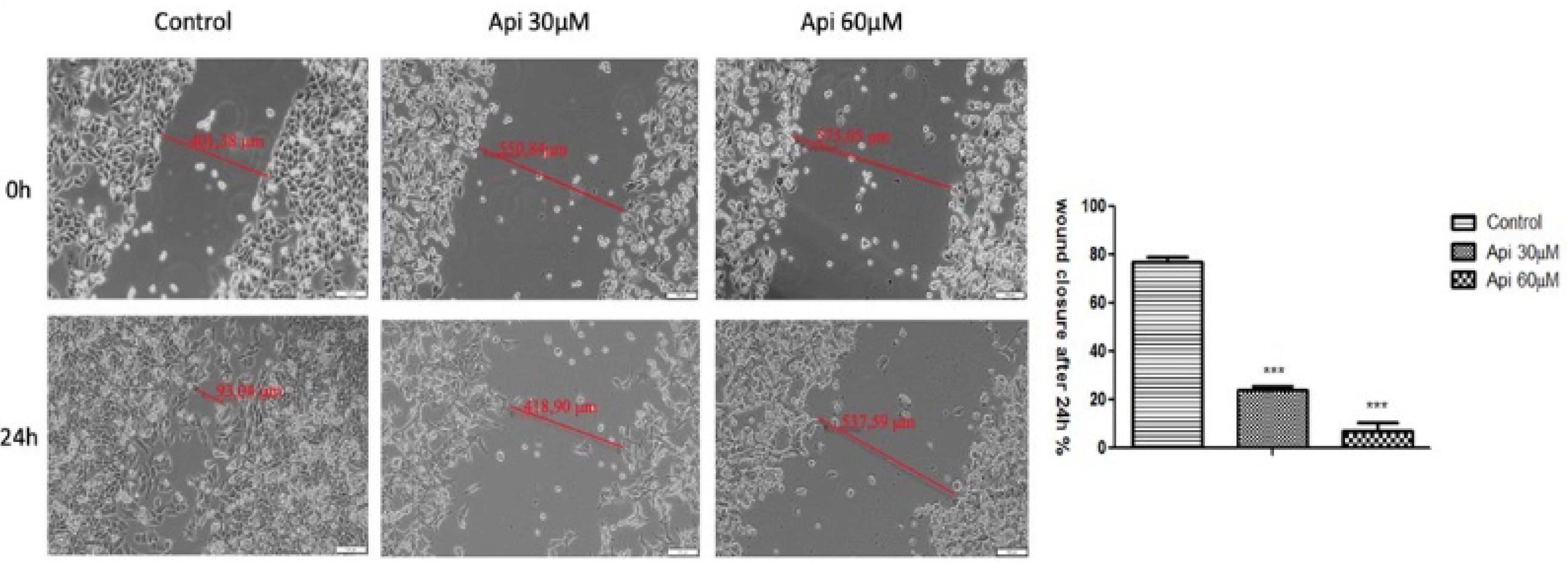 Nutrients 11 00858 g003 Nutrients 11 00858 g003