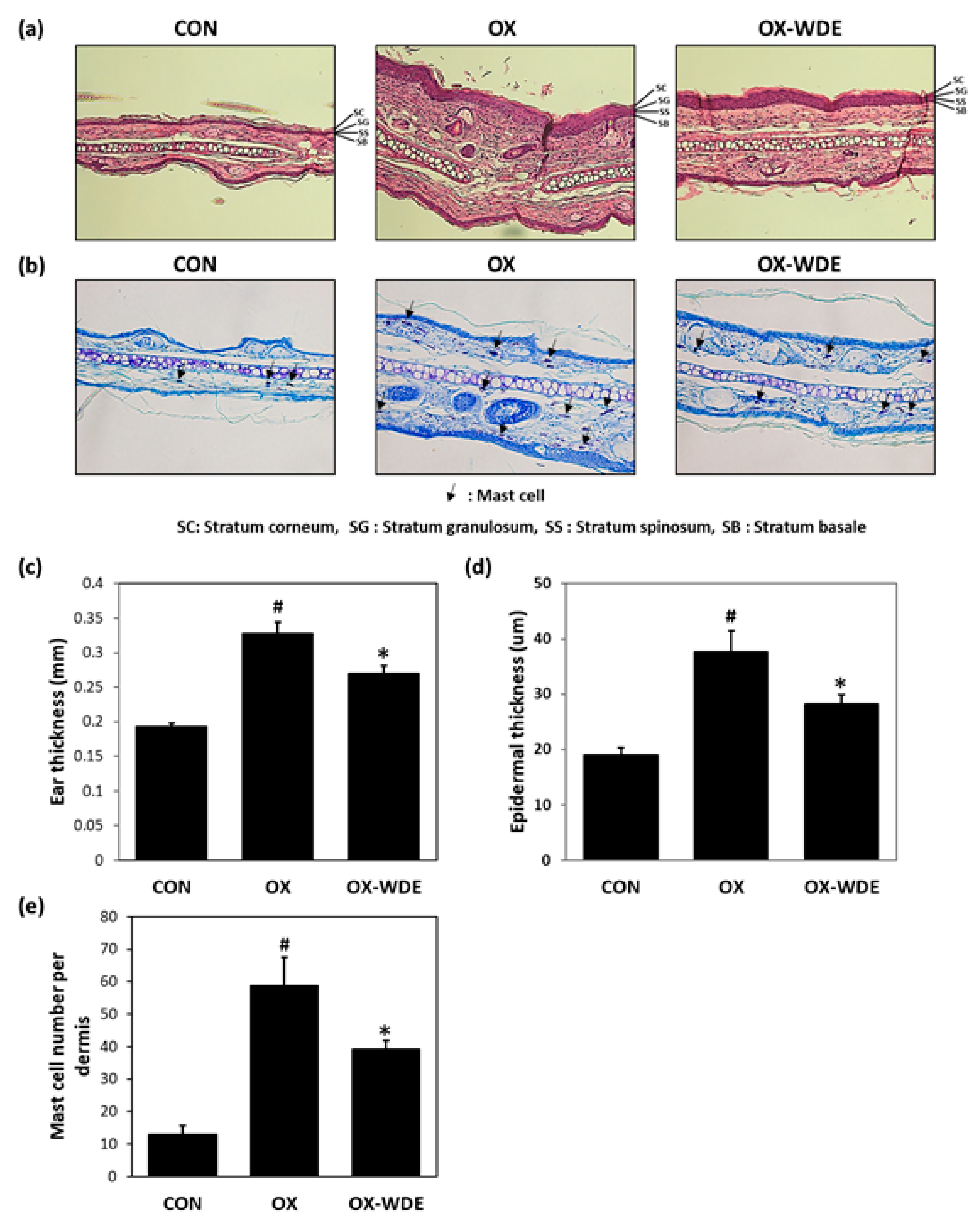 Nutrients 11 00914 g002 Nutrients 11 00914 g002