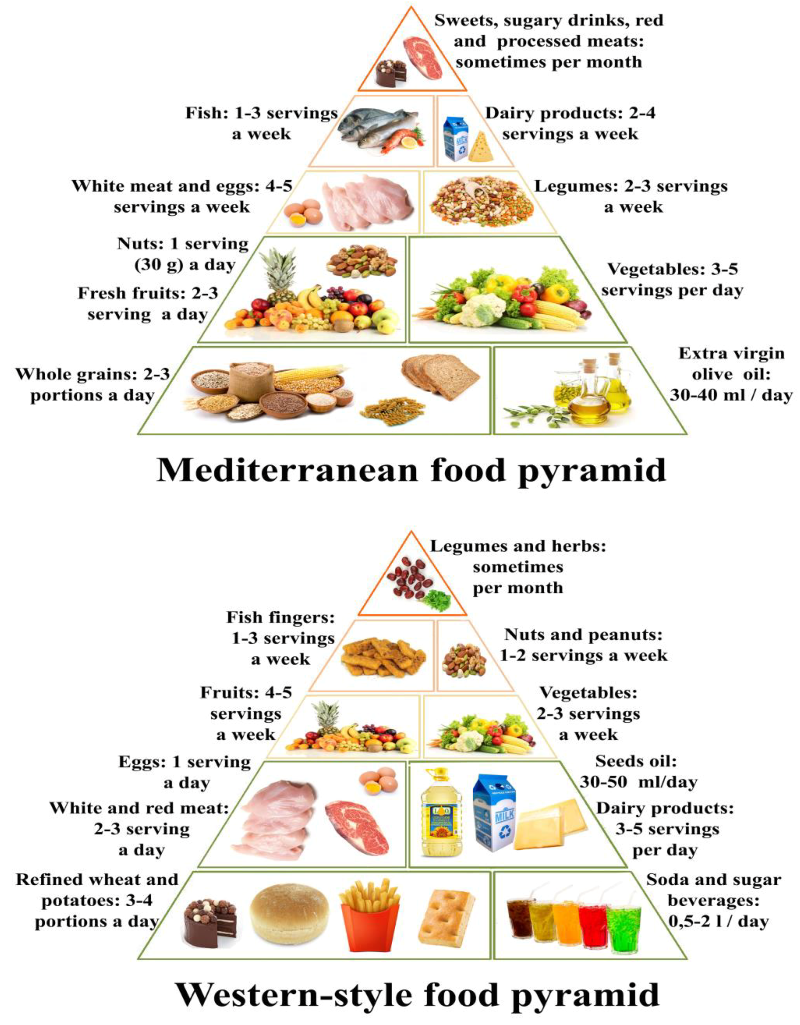 western food pyramid