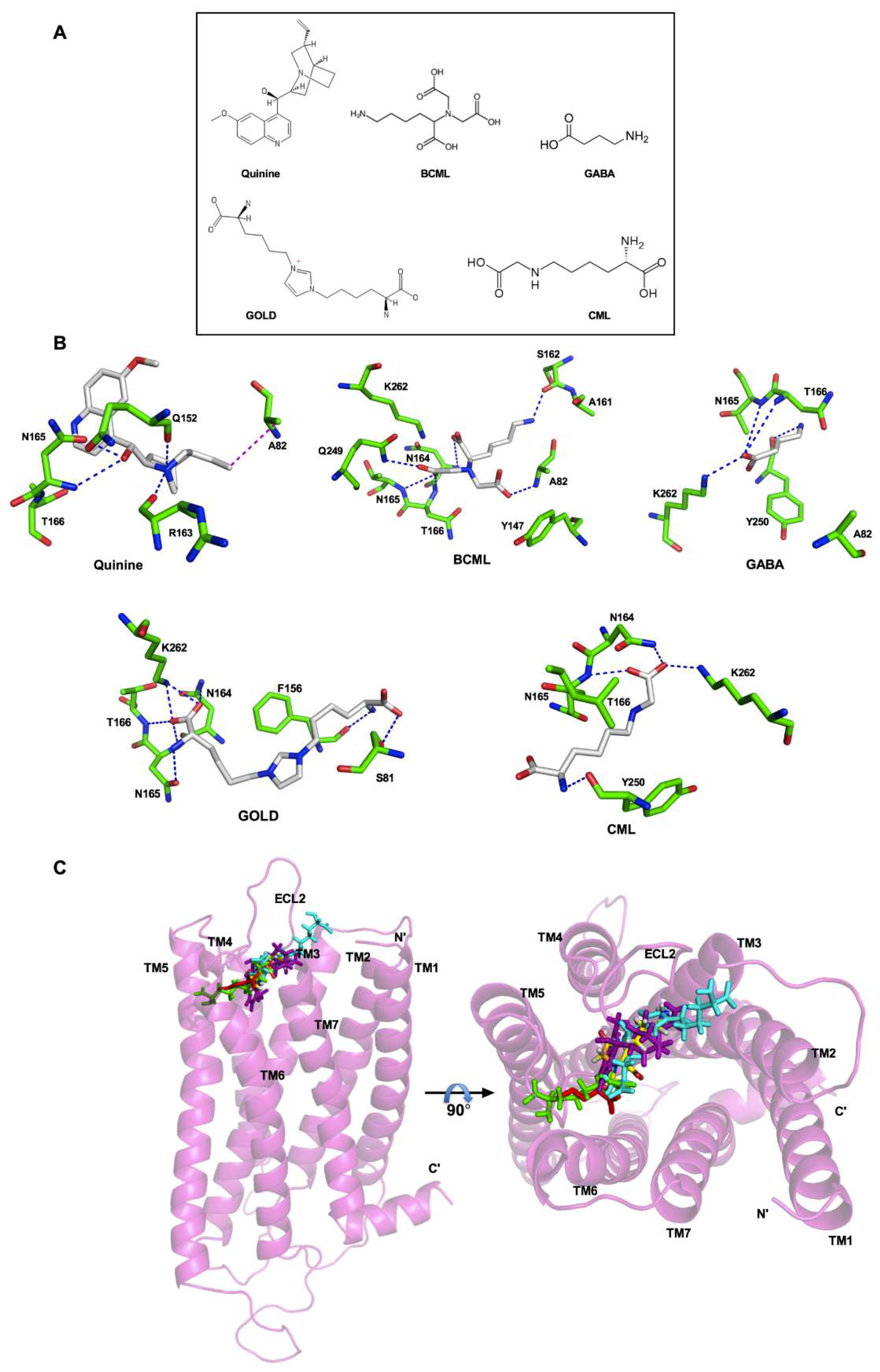 Nutrients 11 01317 g002 Nutrients 11 01317 g002