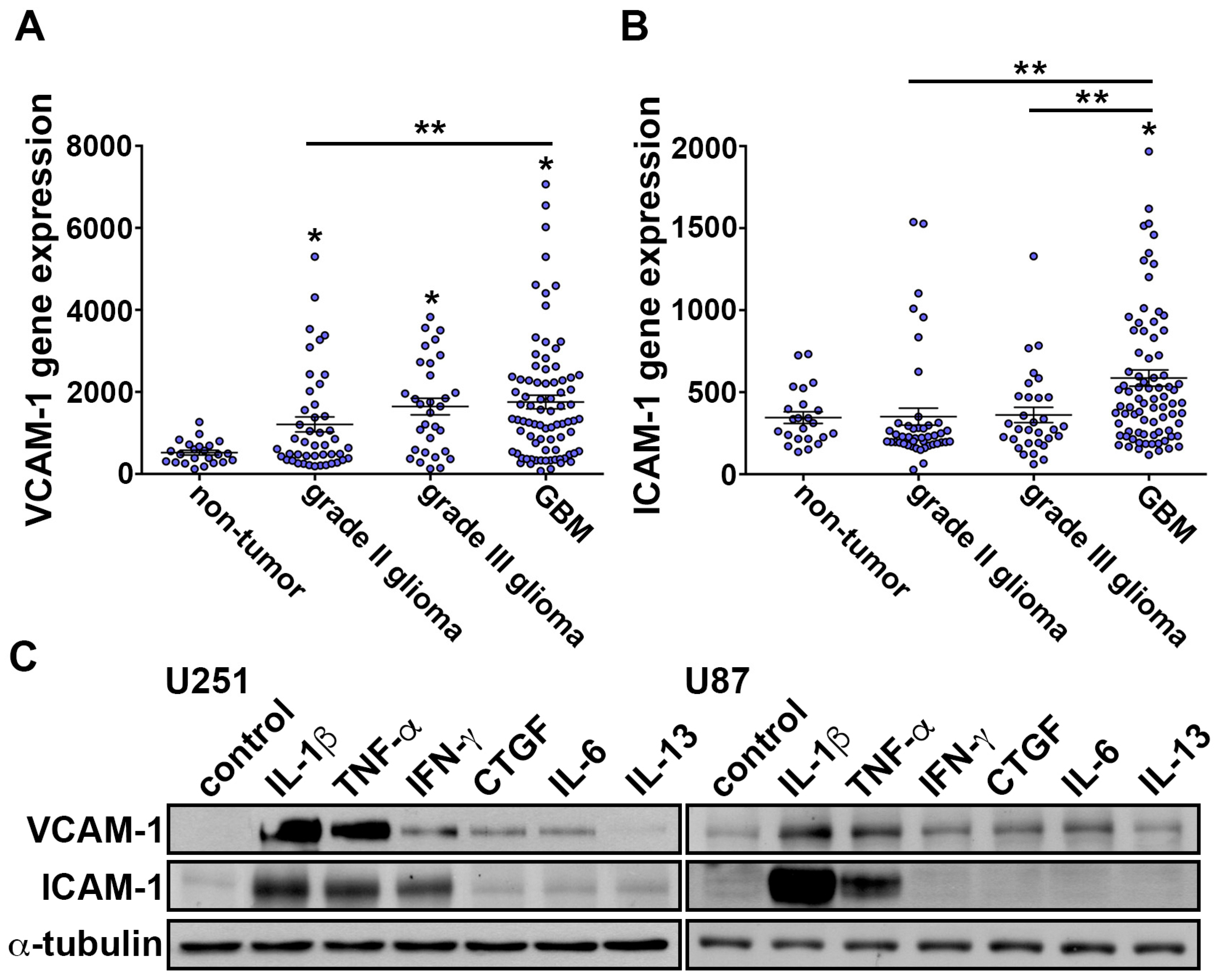 Nutrients 11 01343 g001