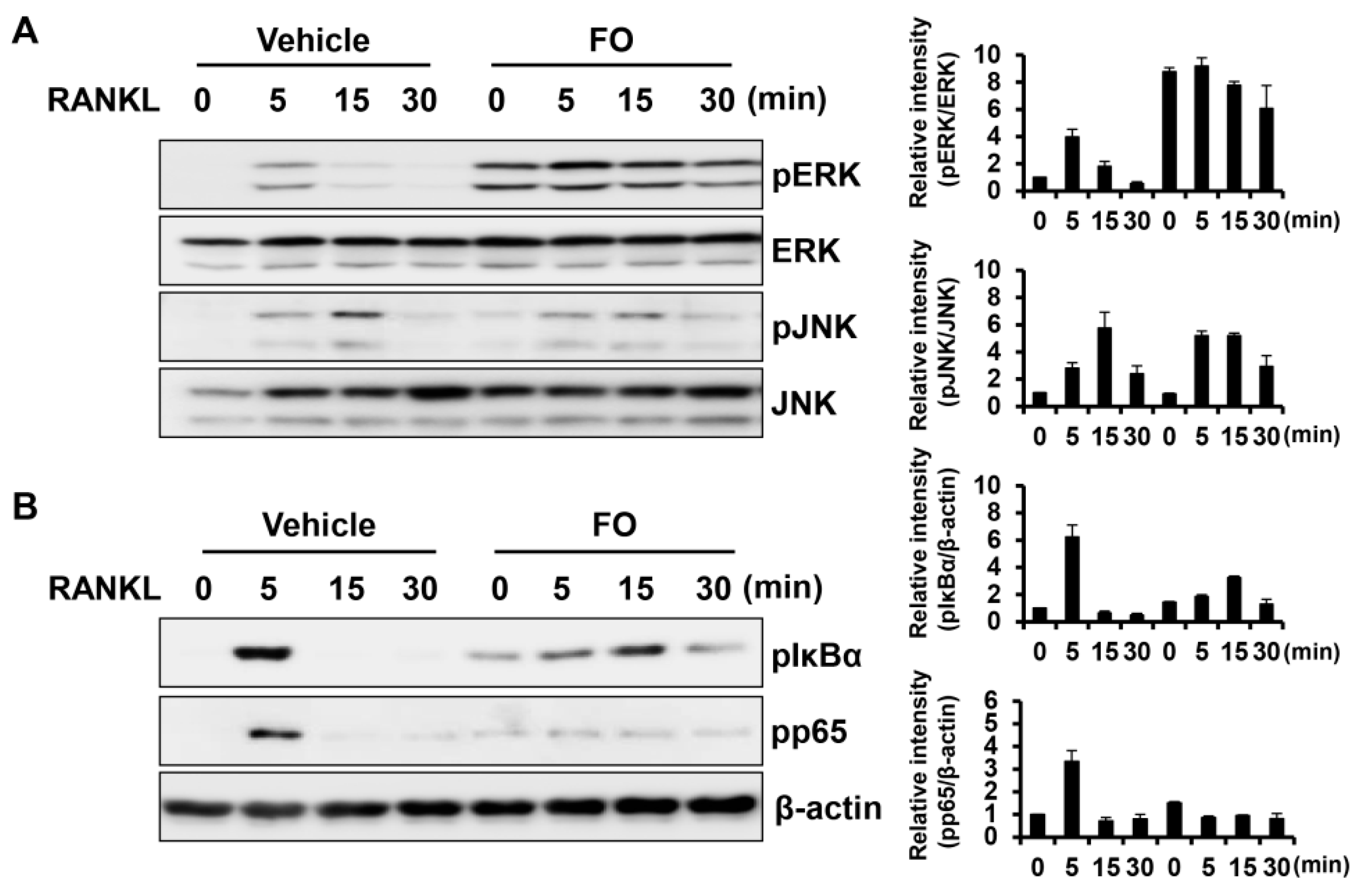 Nutrients 11 01392 g005