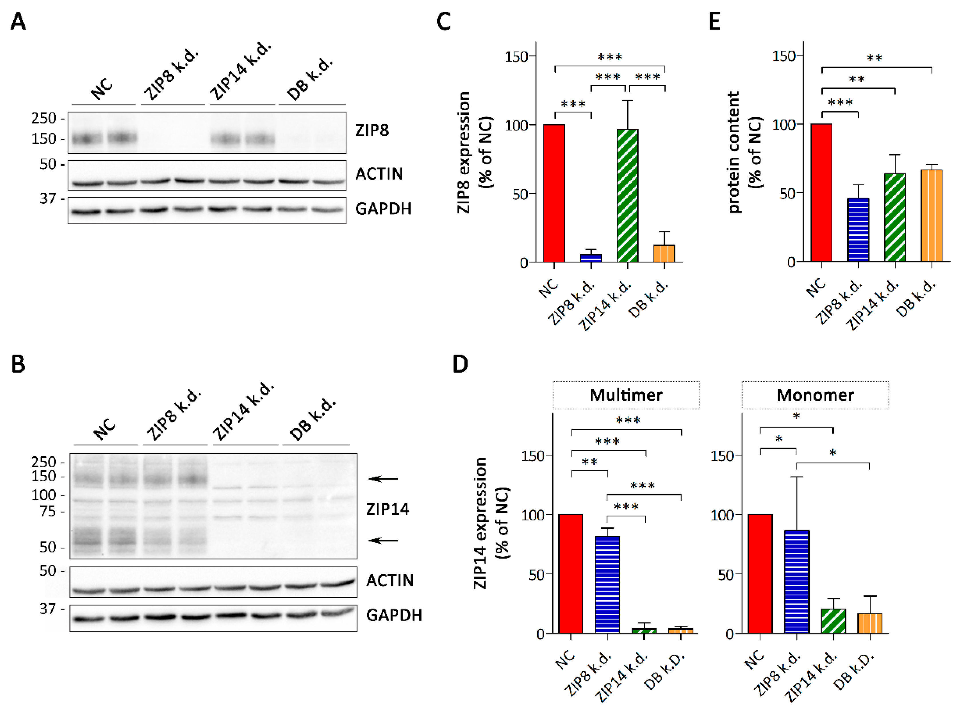 Nutrients 11 01473 g004