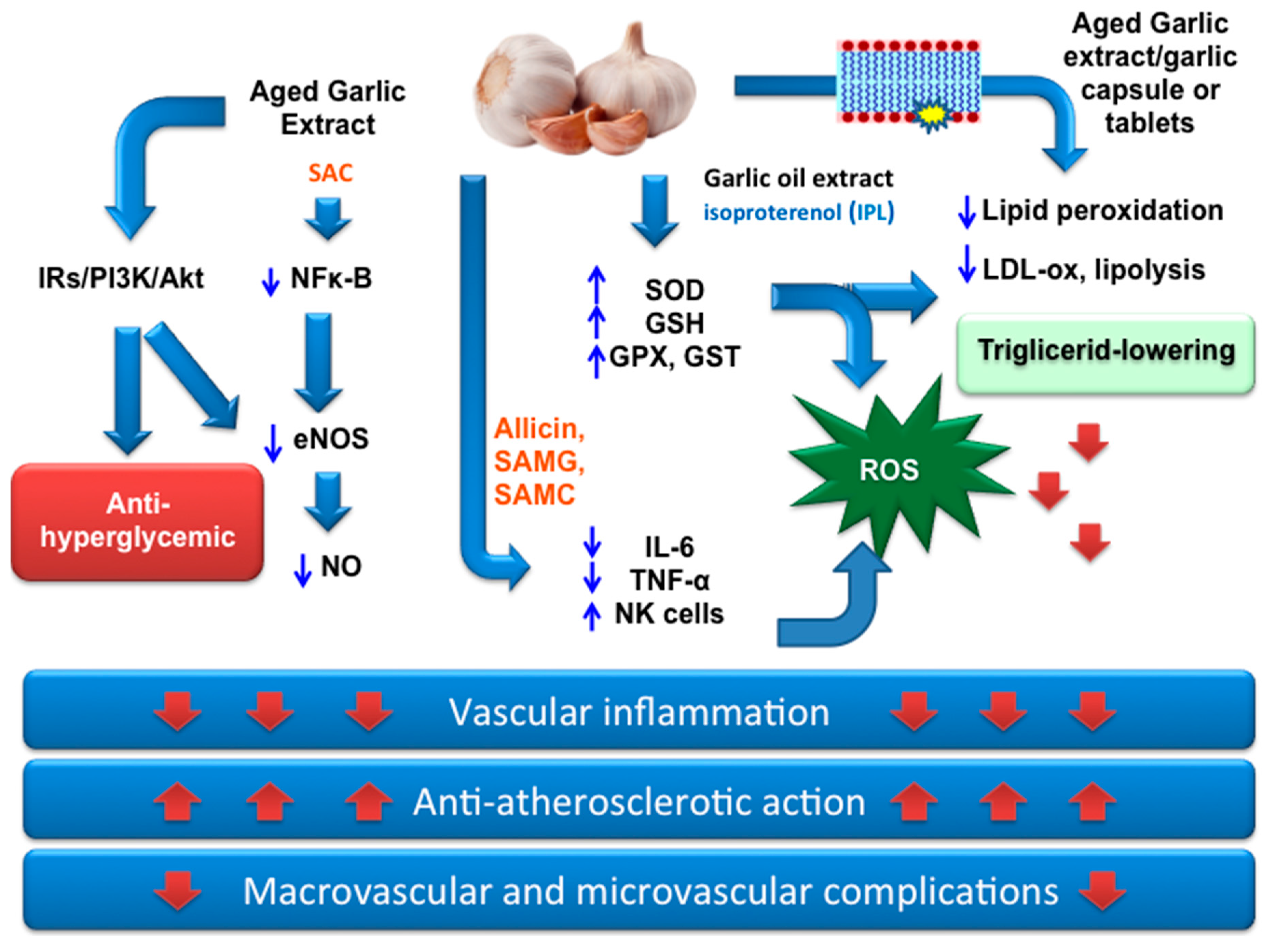 Nutrients 11 01581 g002