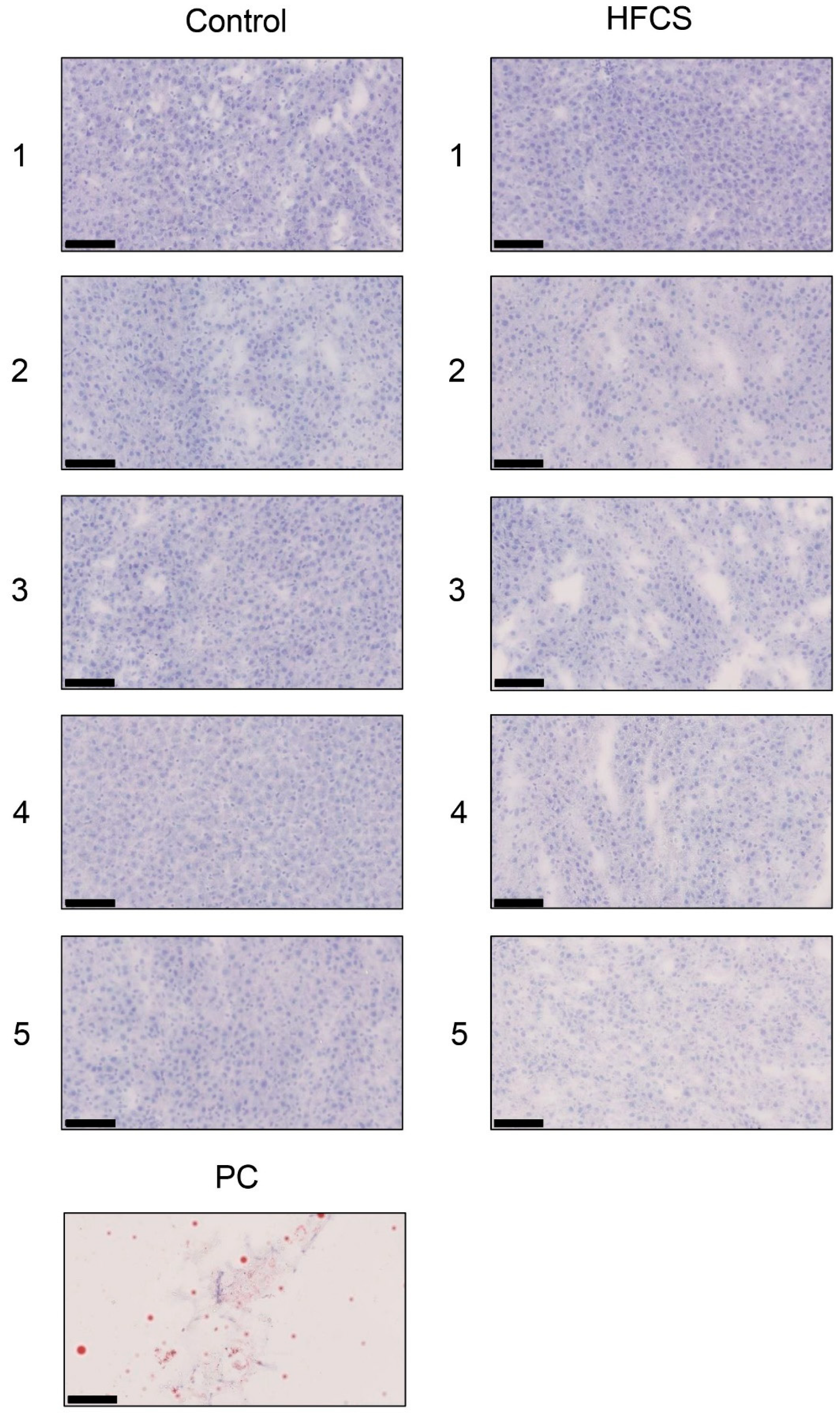 Nutrients 11 01612 g002 Nutrients 11 01612 g002