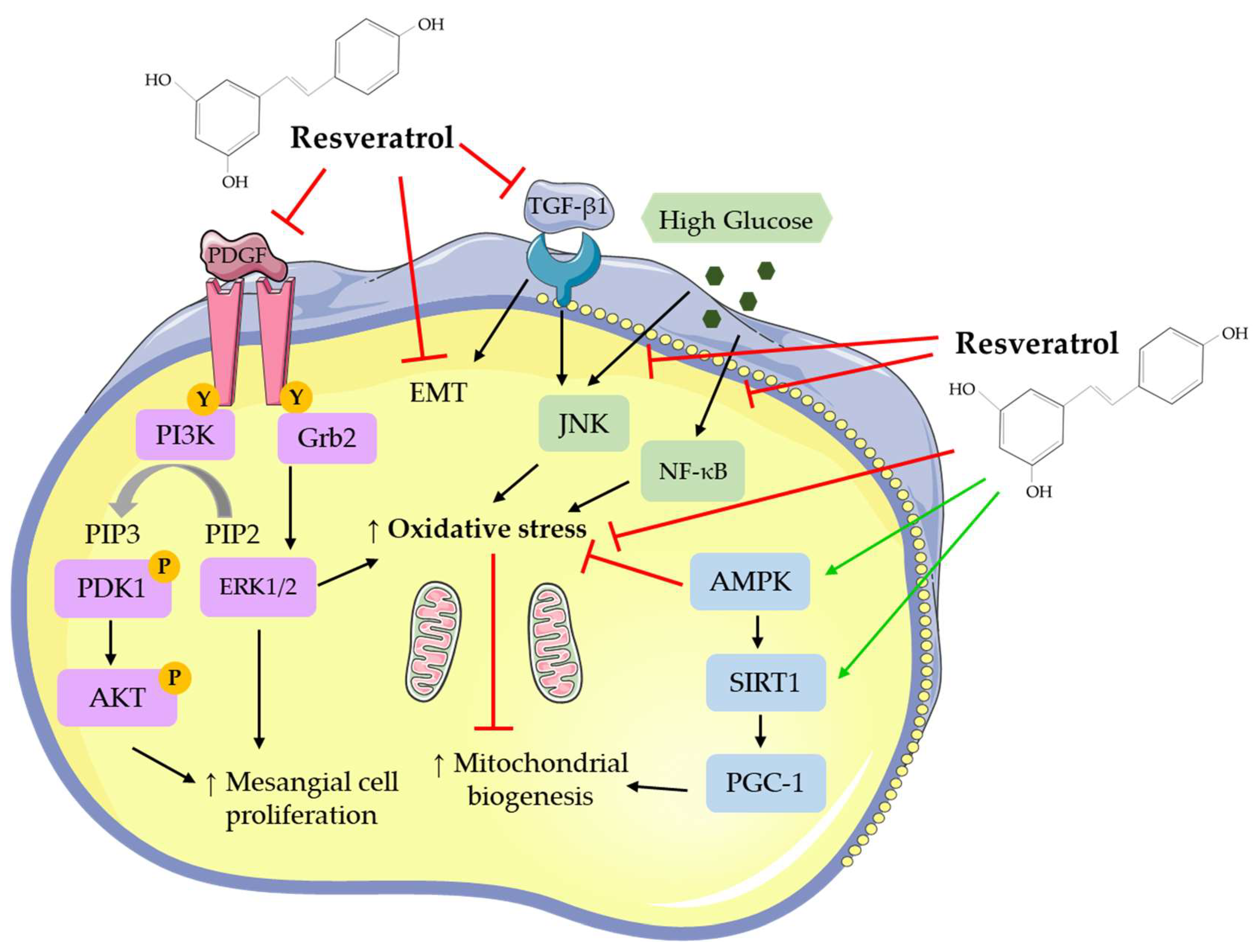 Nutrients 11 01624 g002