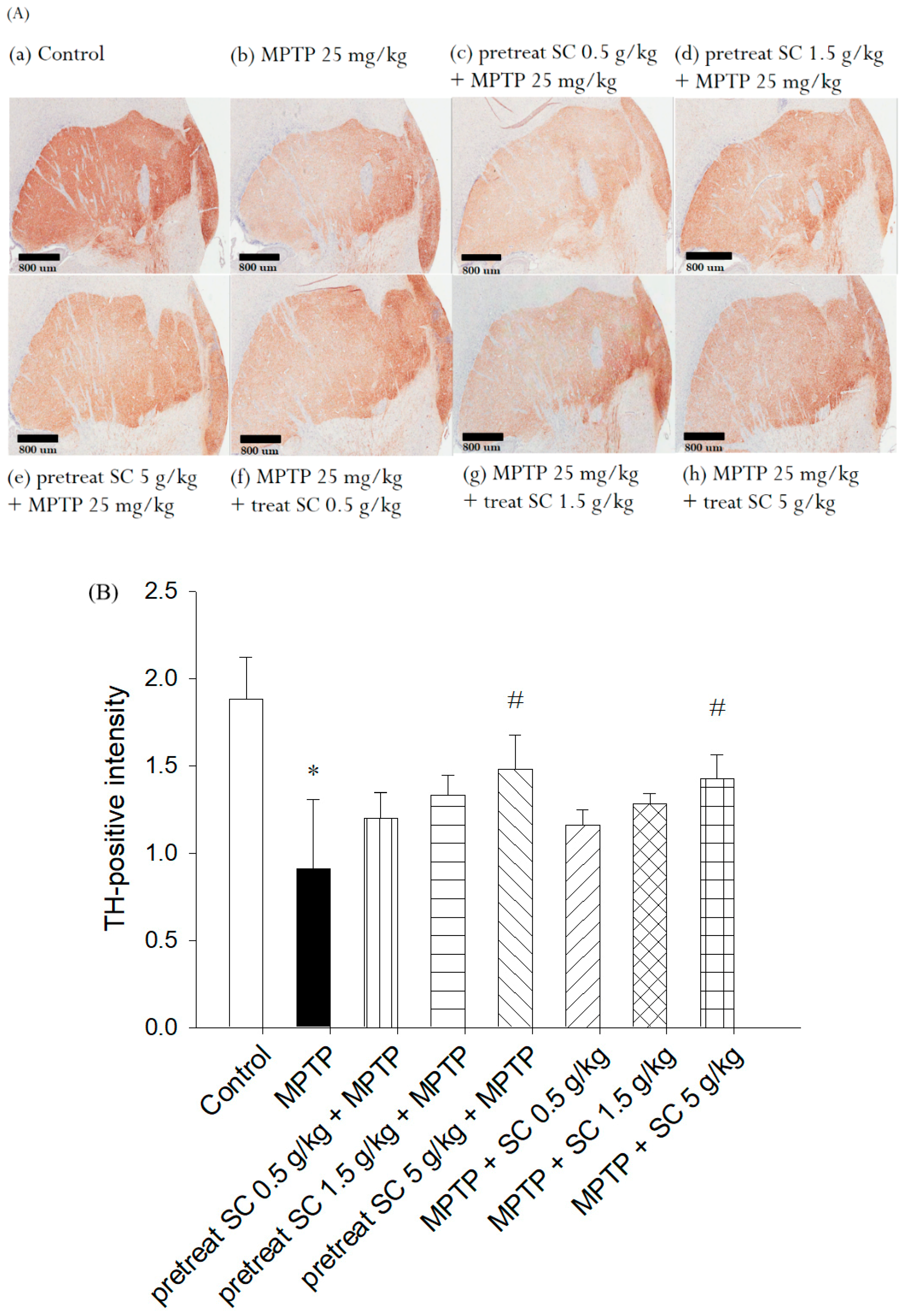 Nutrients 11 01671 g007 Nutrients 11 01671 g007