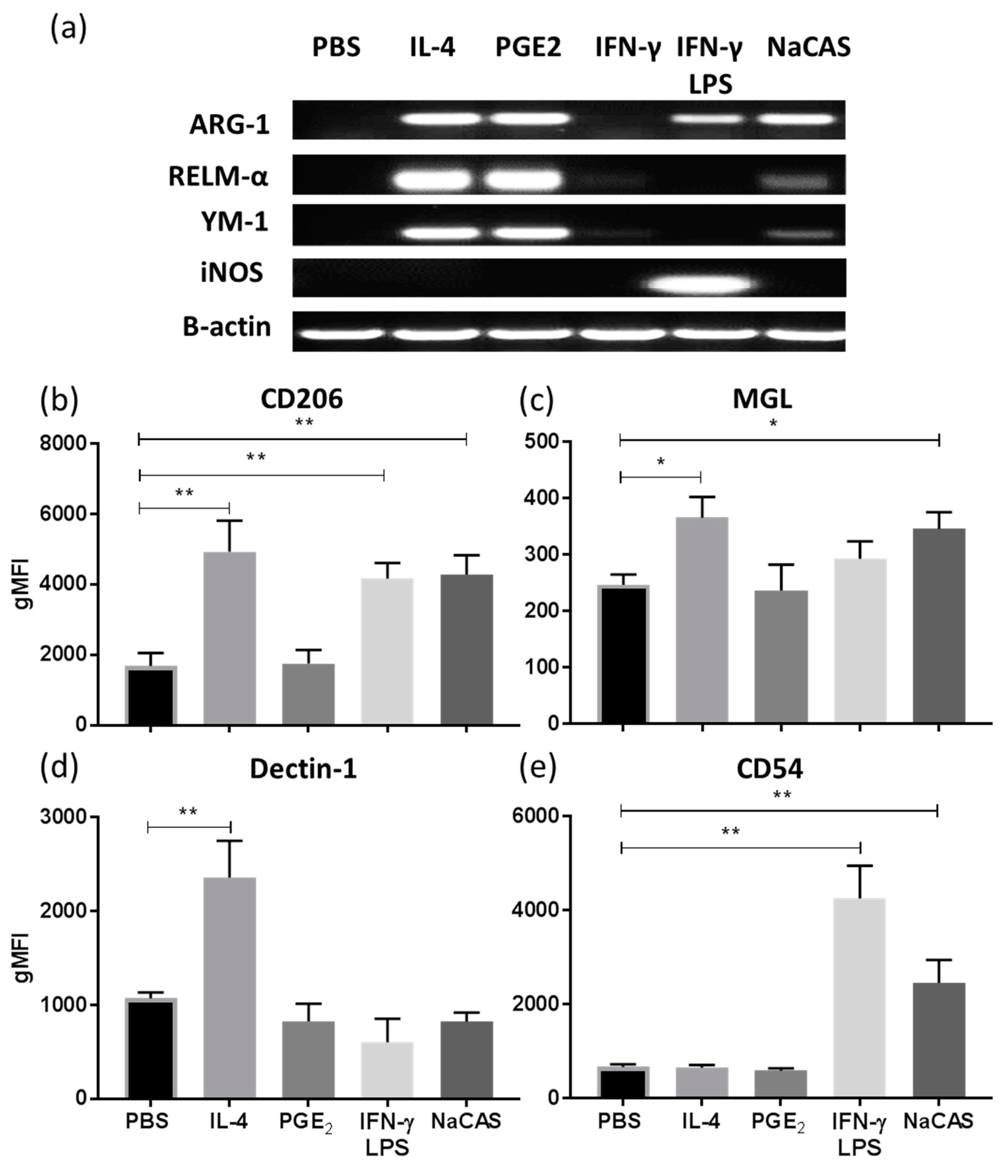 Nutrients 11 01688 g002