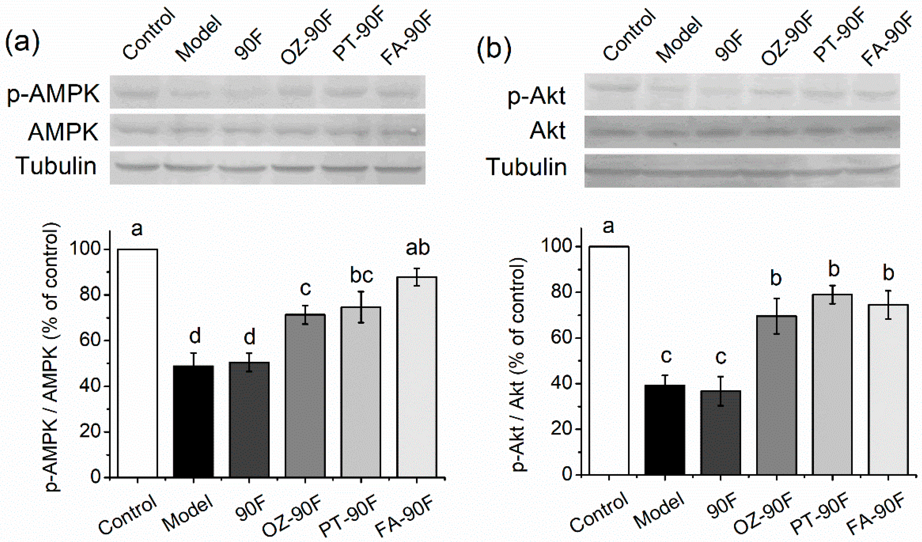 Nutrients 11 01697 g007