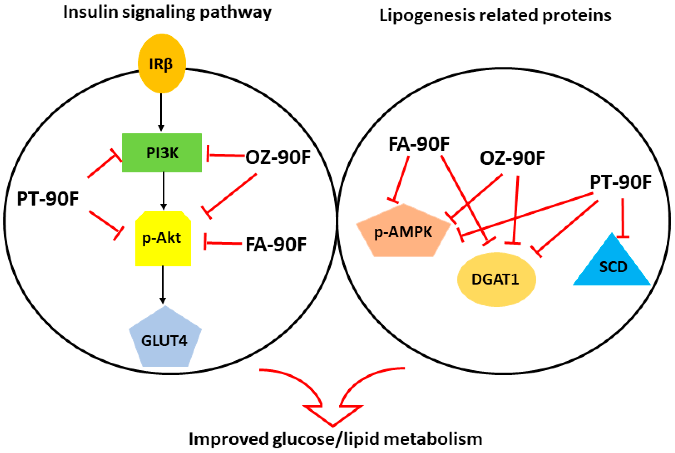 Nutrients 11 01697 g009