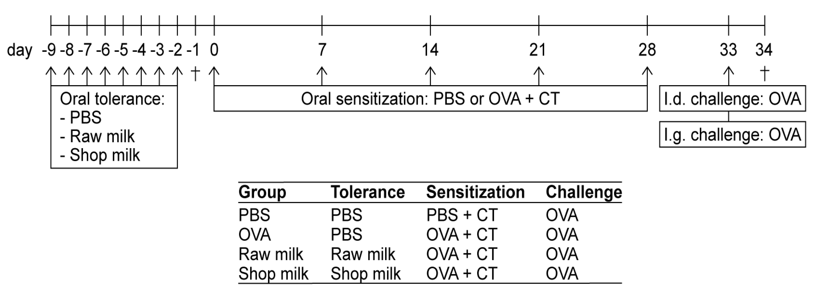 Nutrients Free Full Text Raw Cow S Milk Reduces Allergic Symptoms In A Murine Model For Food Allergy A Potential Role For Epigenetic Modifications Html