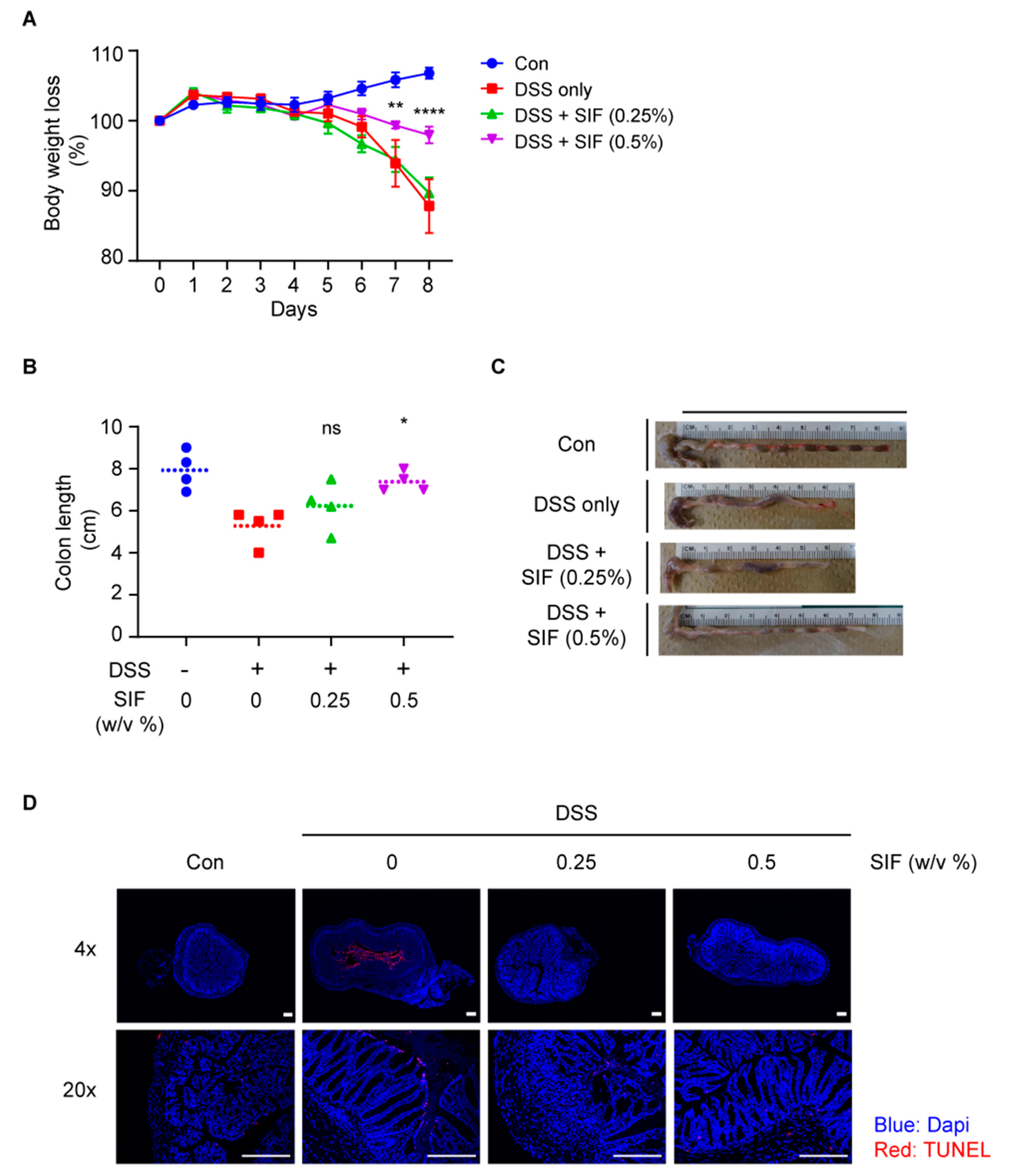 Nutrients 11 01746 g001 Nutrients 11 01746 g001