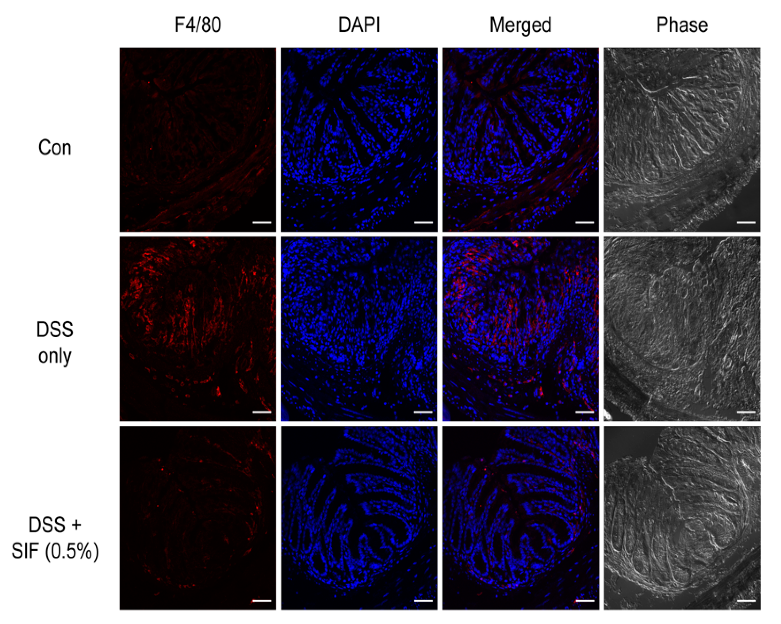 Nutrients 11 01746 g004 Nutrients 11 01746 g004