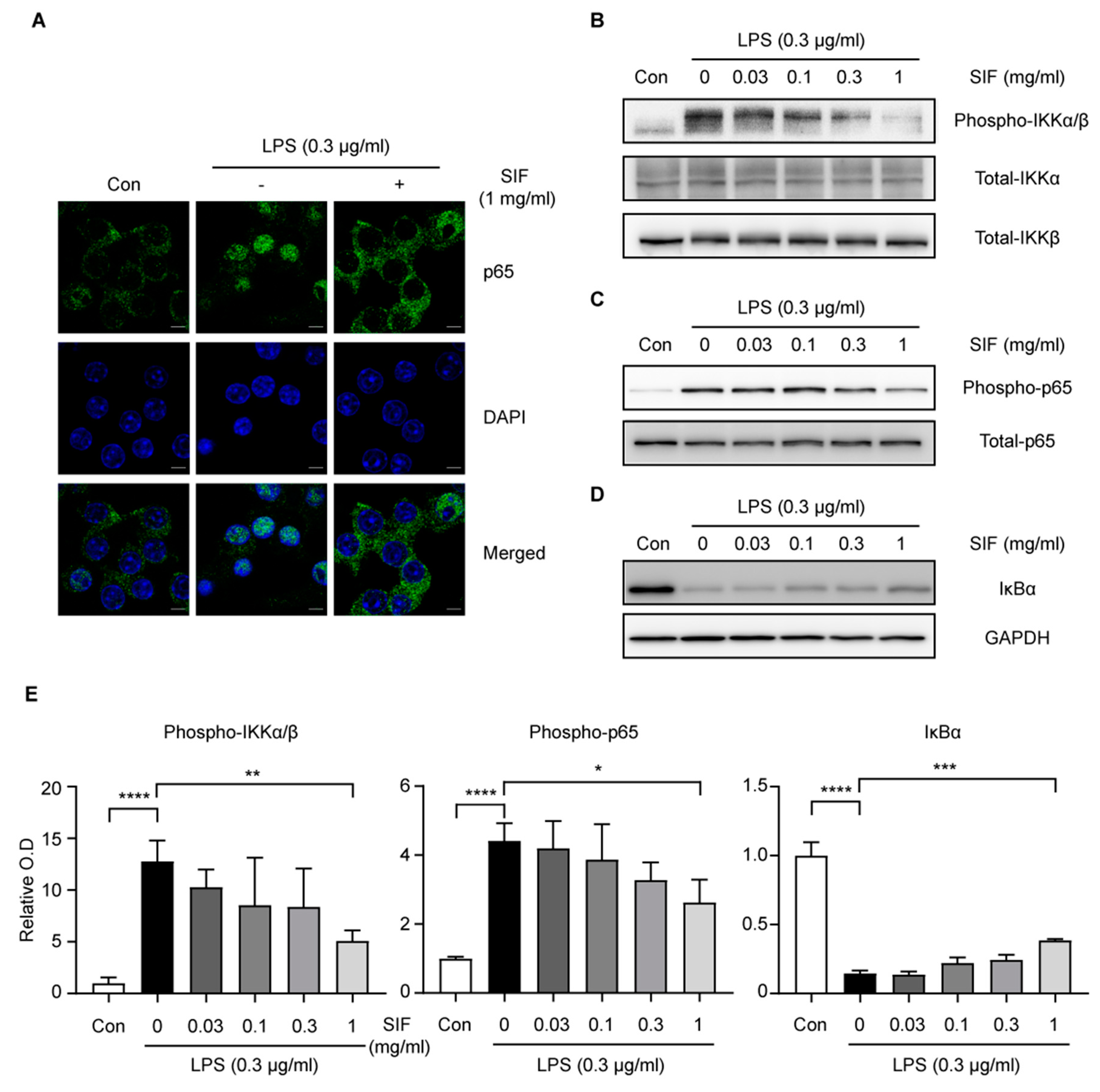 Nutrients 11 01746 g008 Nutrients 11 01746 g008