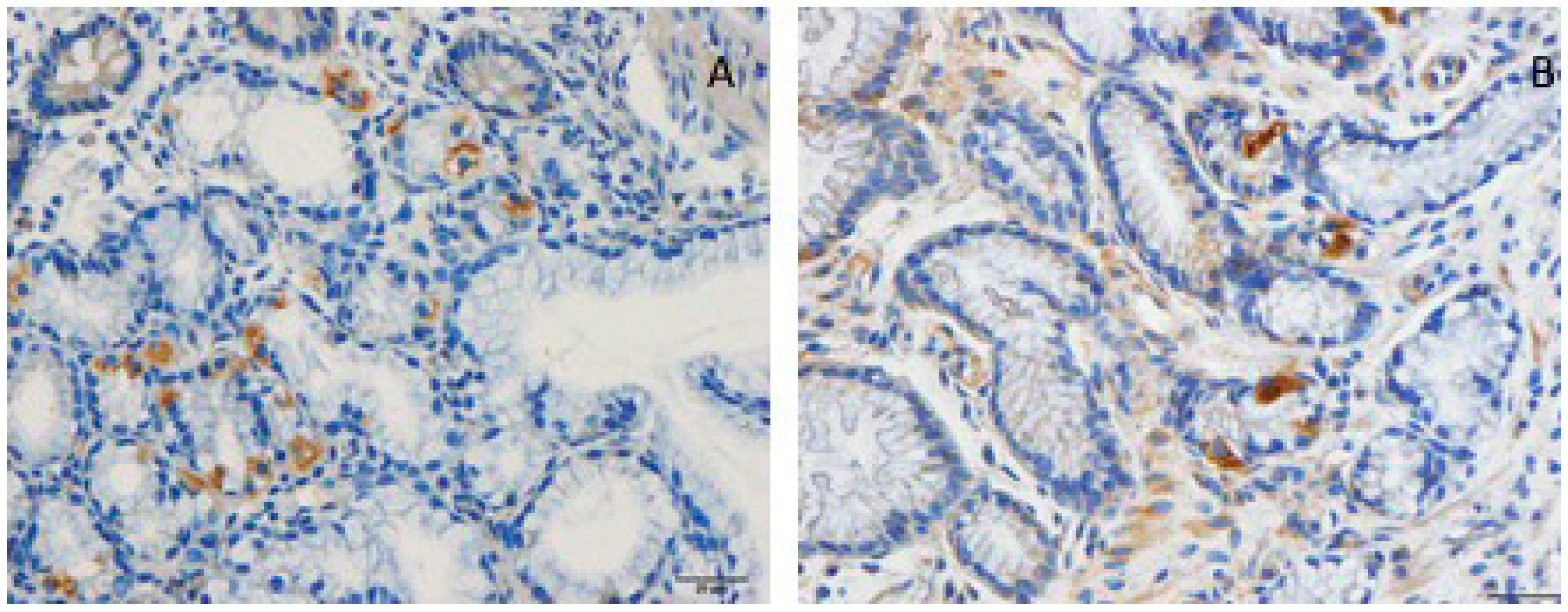 Nutrients 11 01824 g004 Nutrients 11 01824 g004