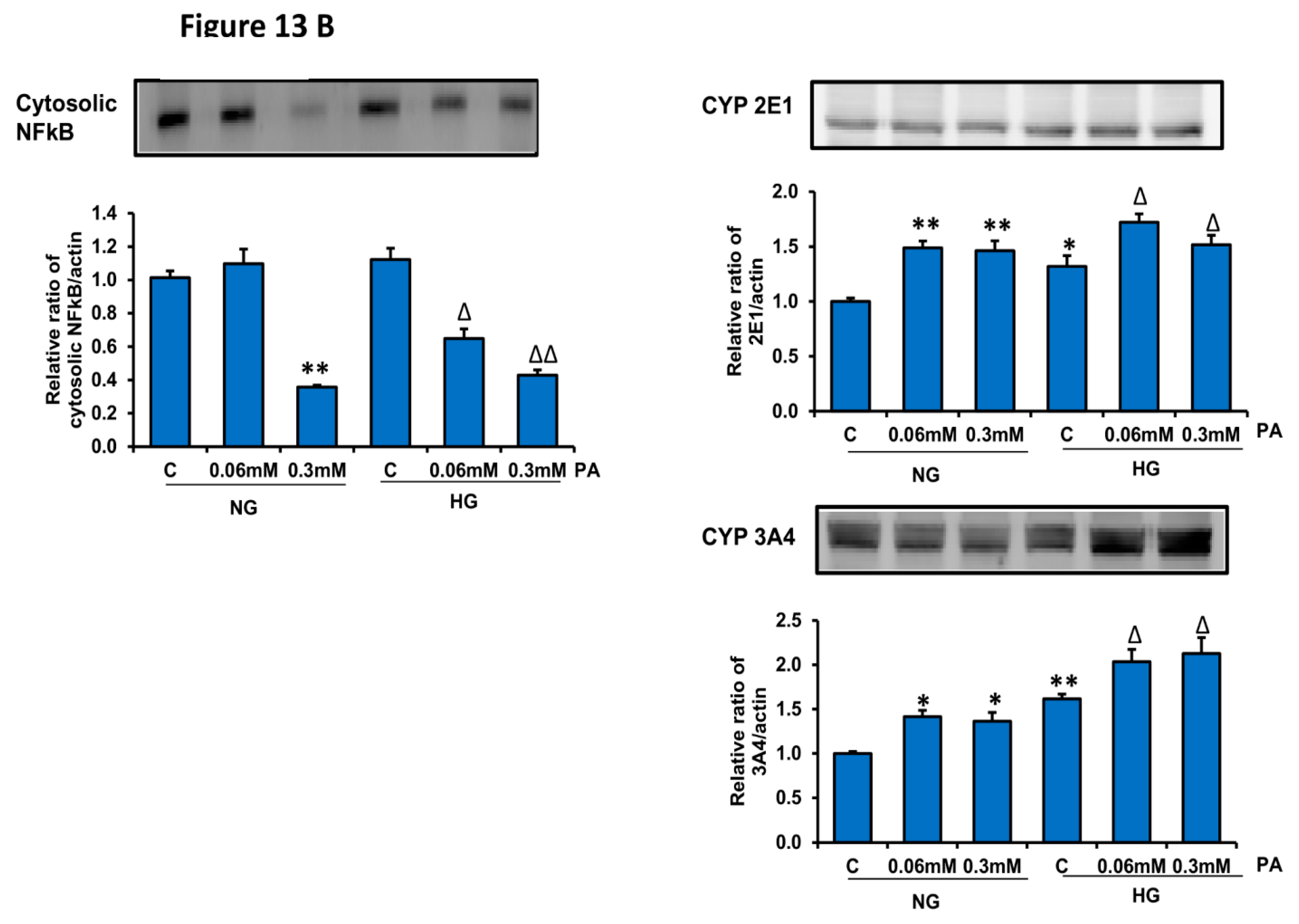 Nutrients 11 01979 g013b Nutrients 11 01979 g013b