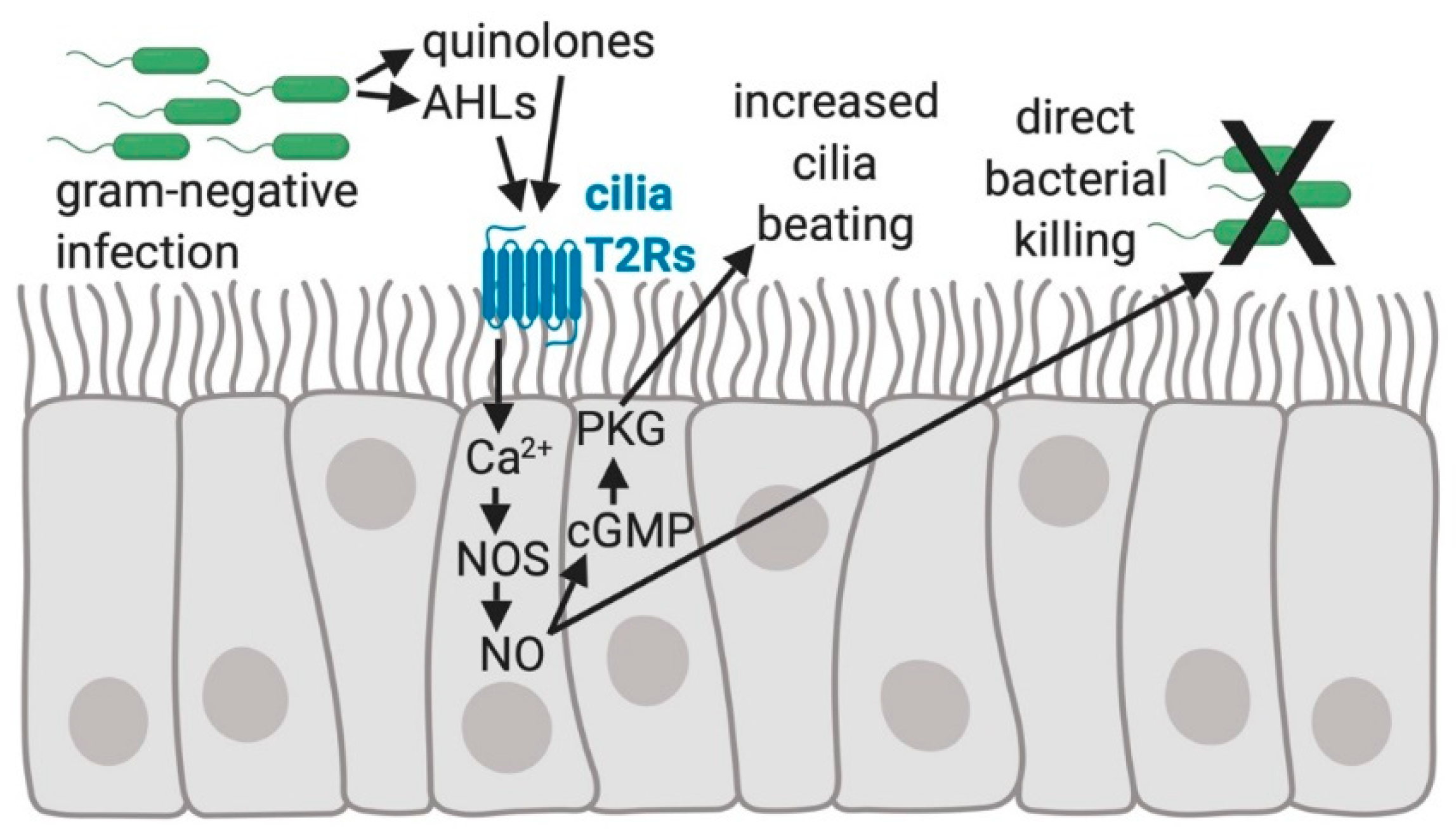 Nutrients 11 02017 g002
