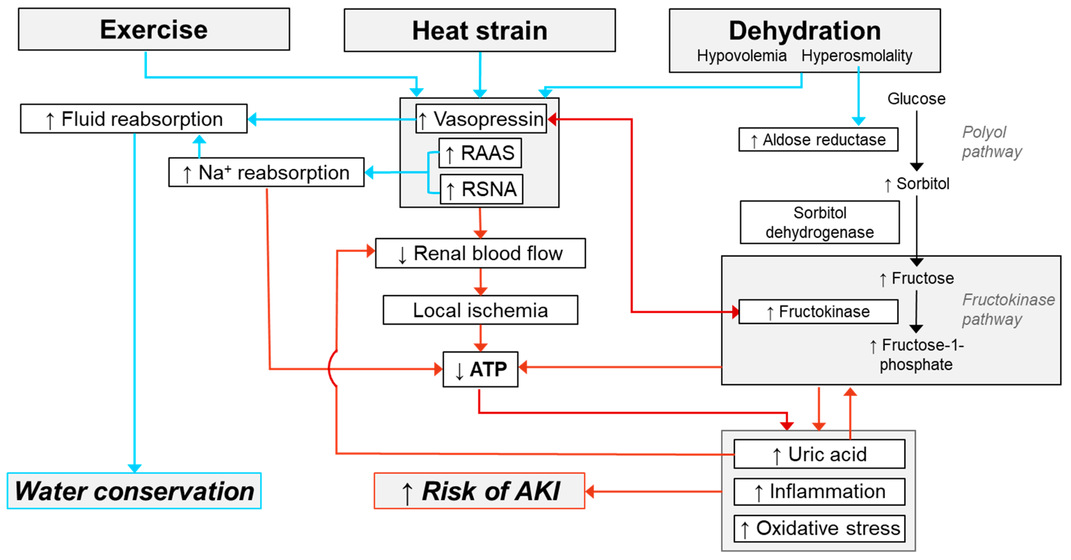 Nutrients 11 02087 g005