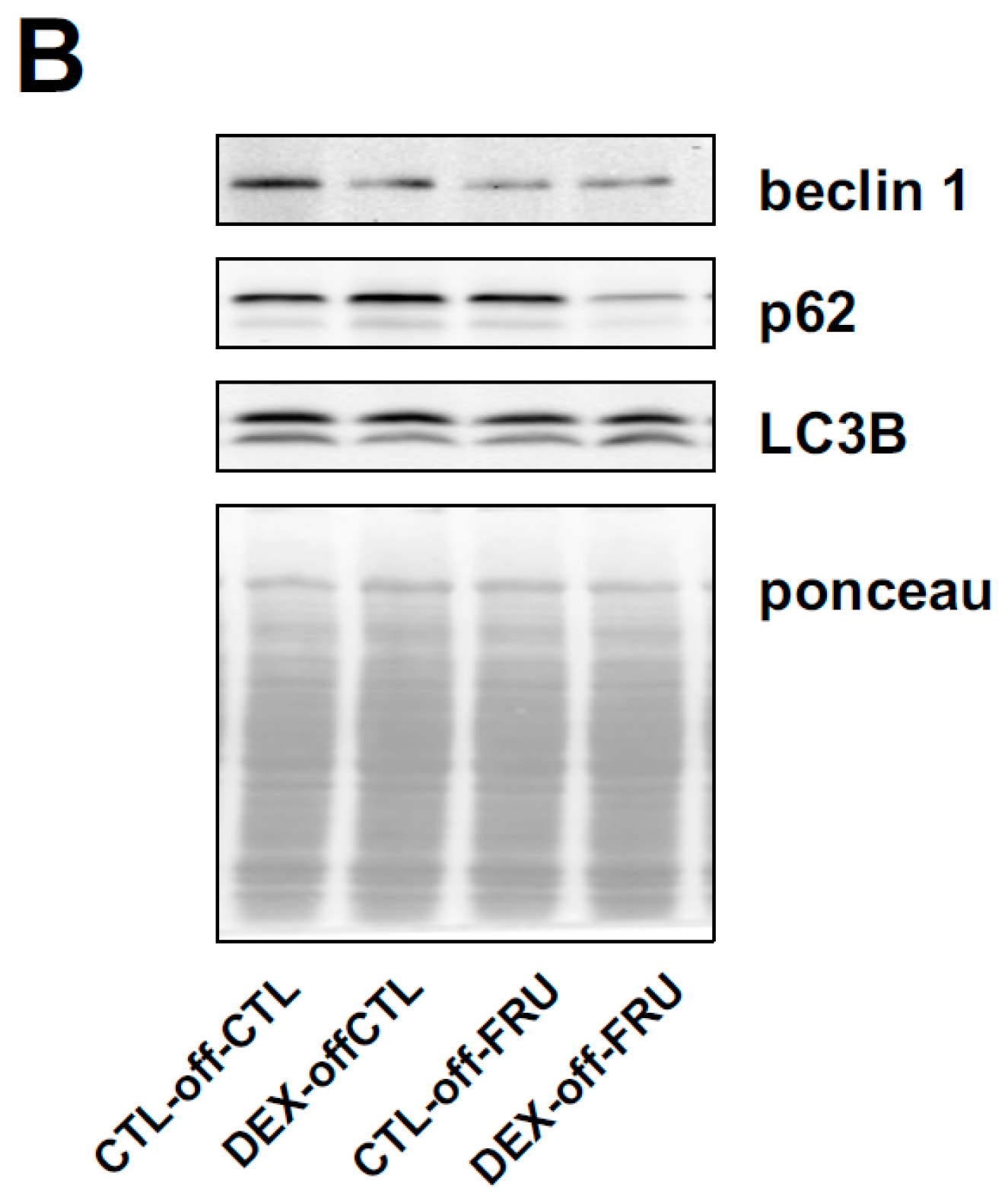 Nutrients 11 02114 g006b Nutrients 11 02114 g006b