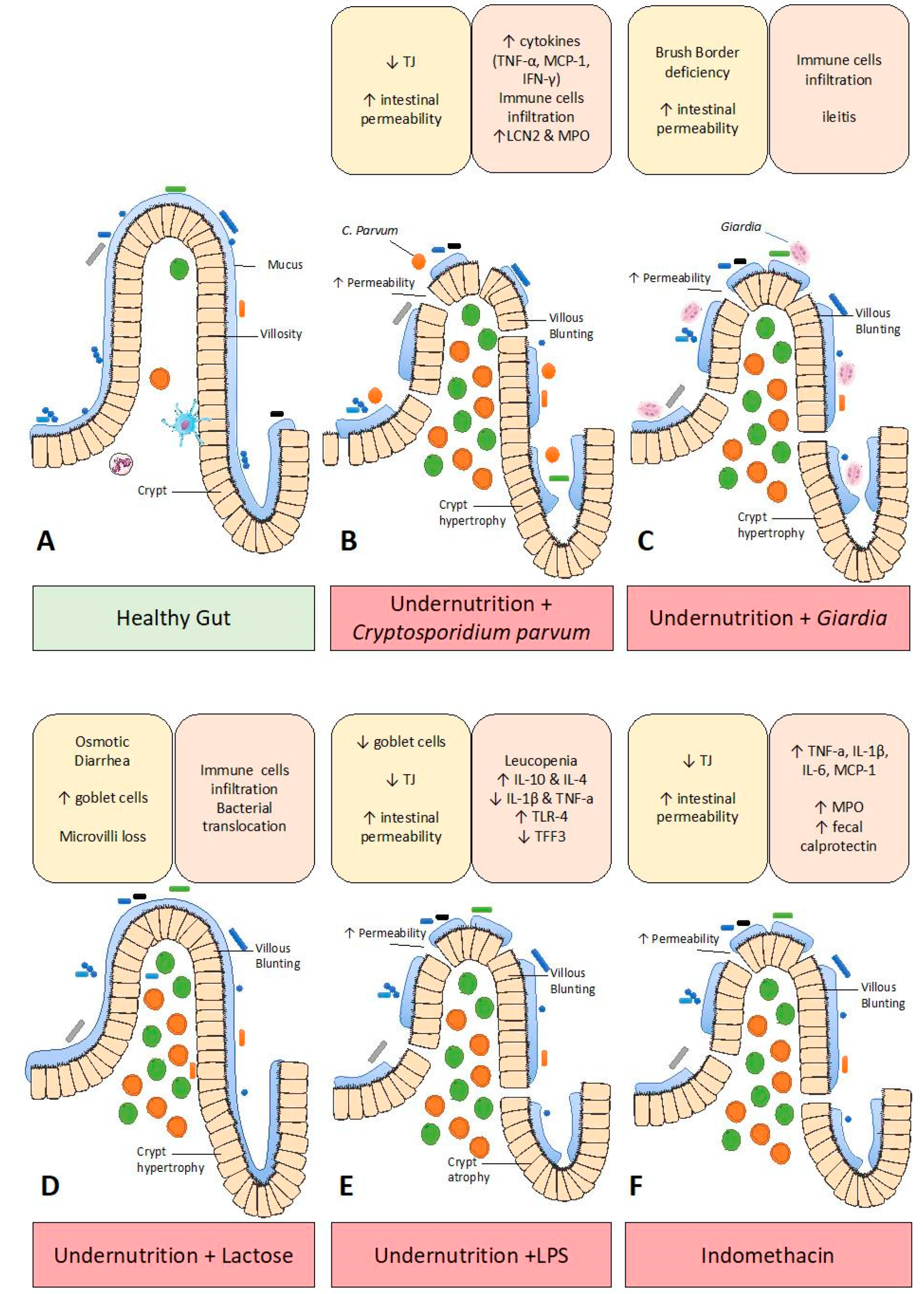 Nutrients 11 02233 g001 Nutrients 11 02233 g001
