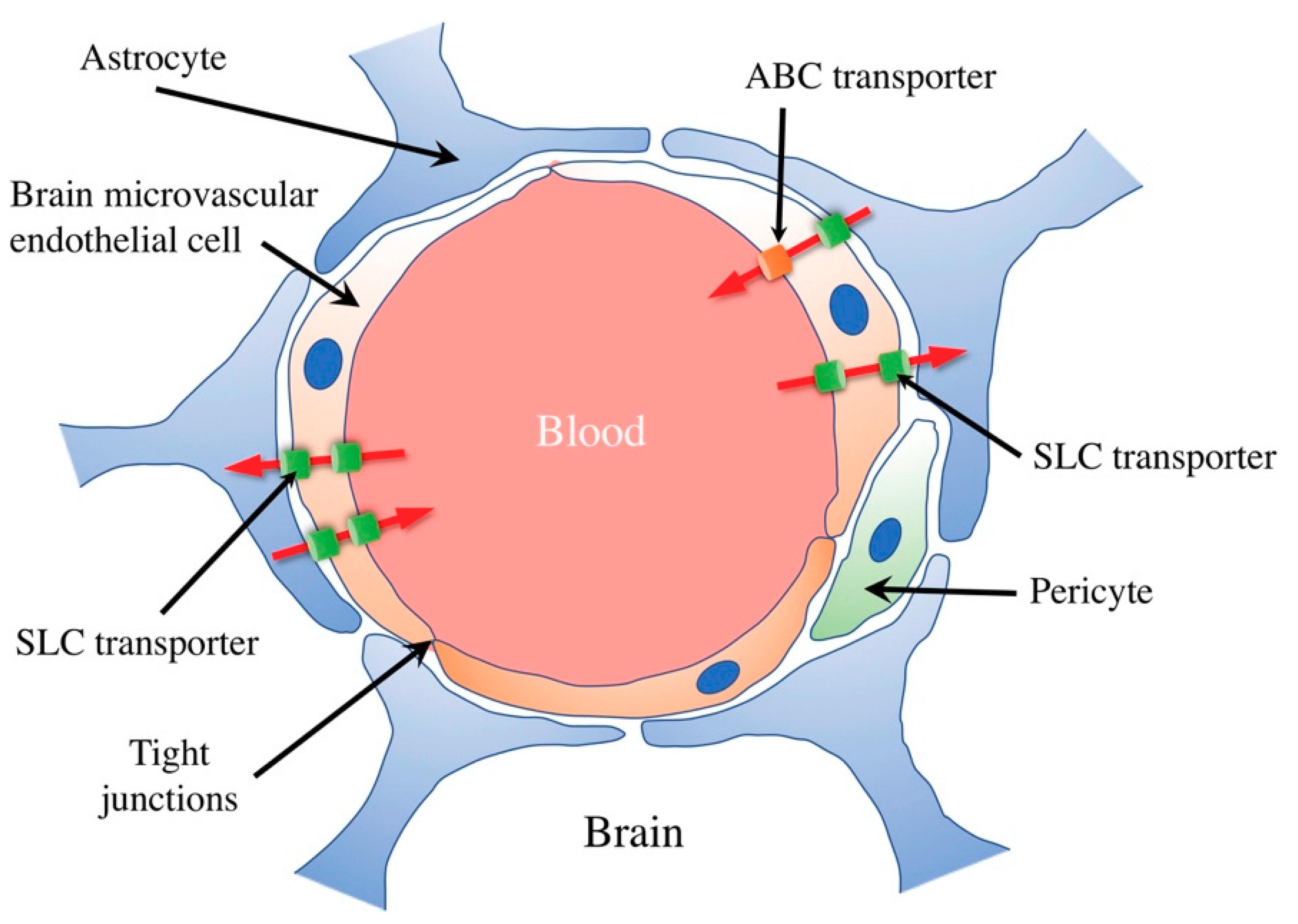 Nutrients 11 02265 g001 Nutrients 11 02265 g001