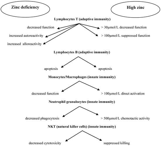 Nutrients, Free Full-Text