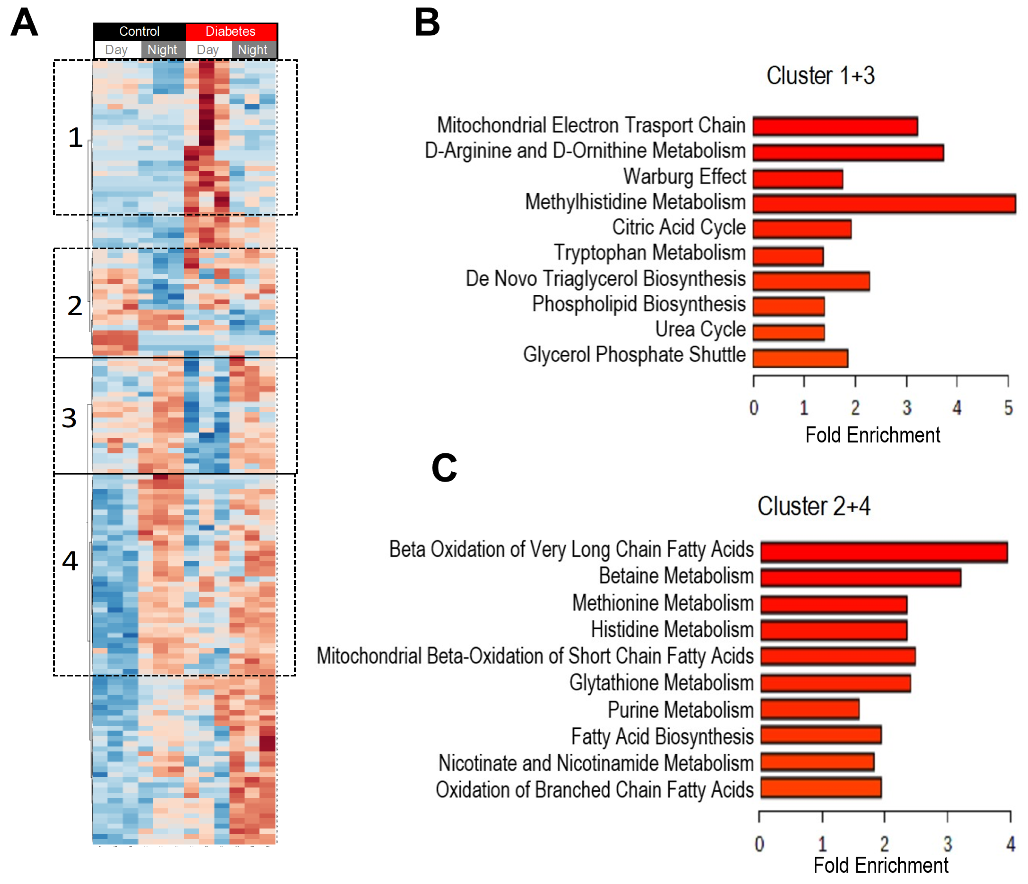Nutrients 11 02310 g003 Nutrients 11 02310 g003