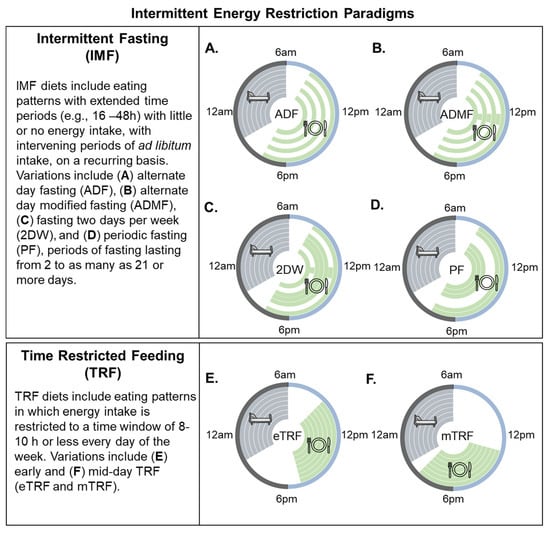 Nutrients Free Full Text Effectiveness of Intermittent Fasting