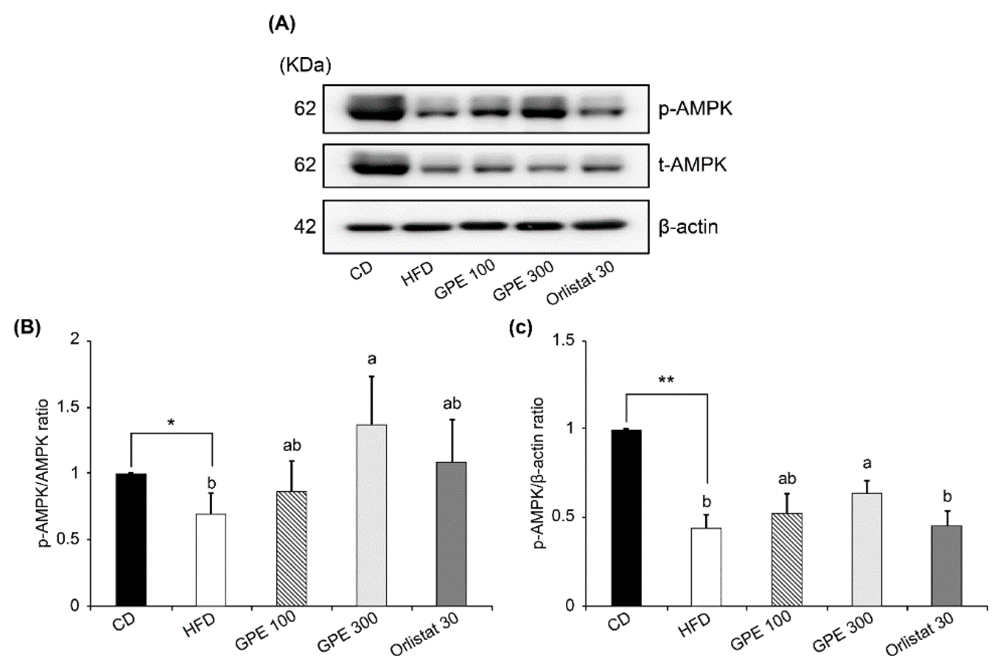 Nutrients 11 02475 g005 Nutrients 11 02475 g005