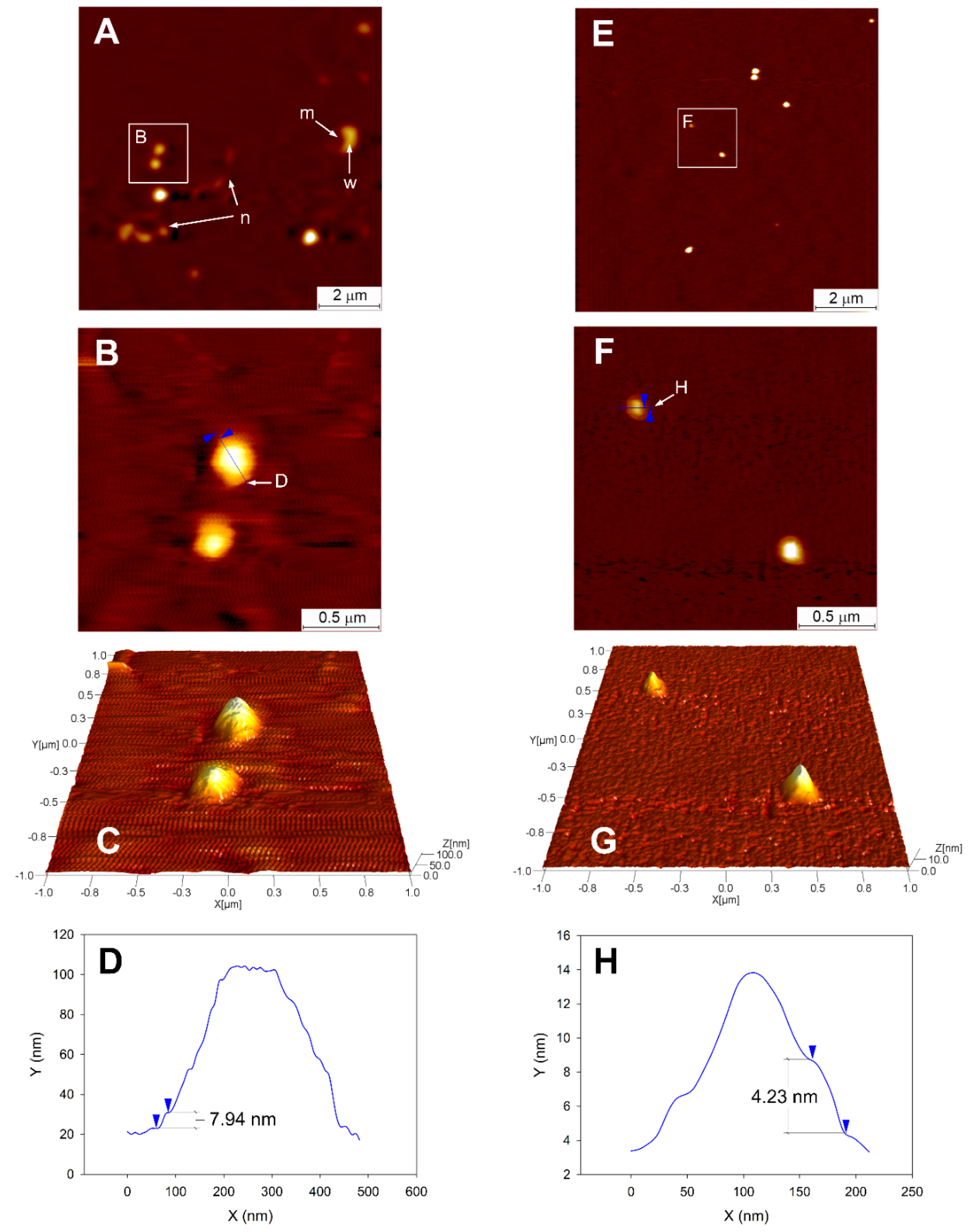 Nutrients 11 02549 g002 Nutrients 11 02549 g002