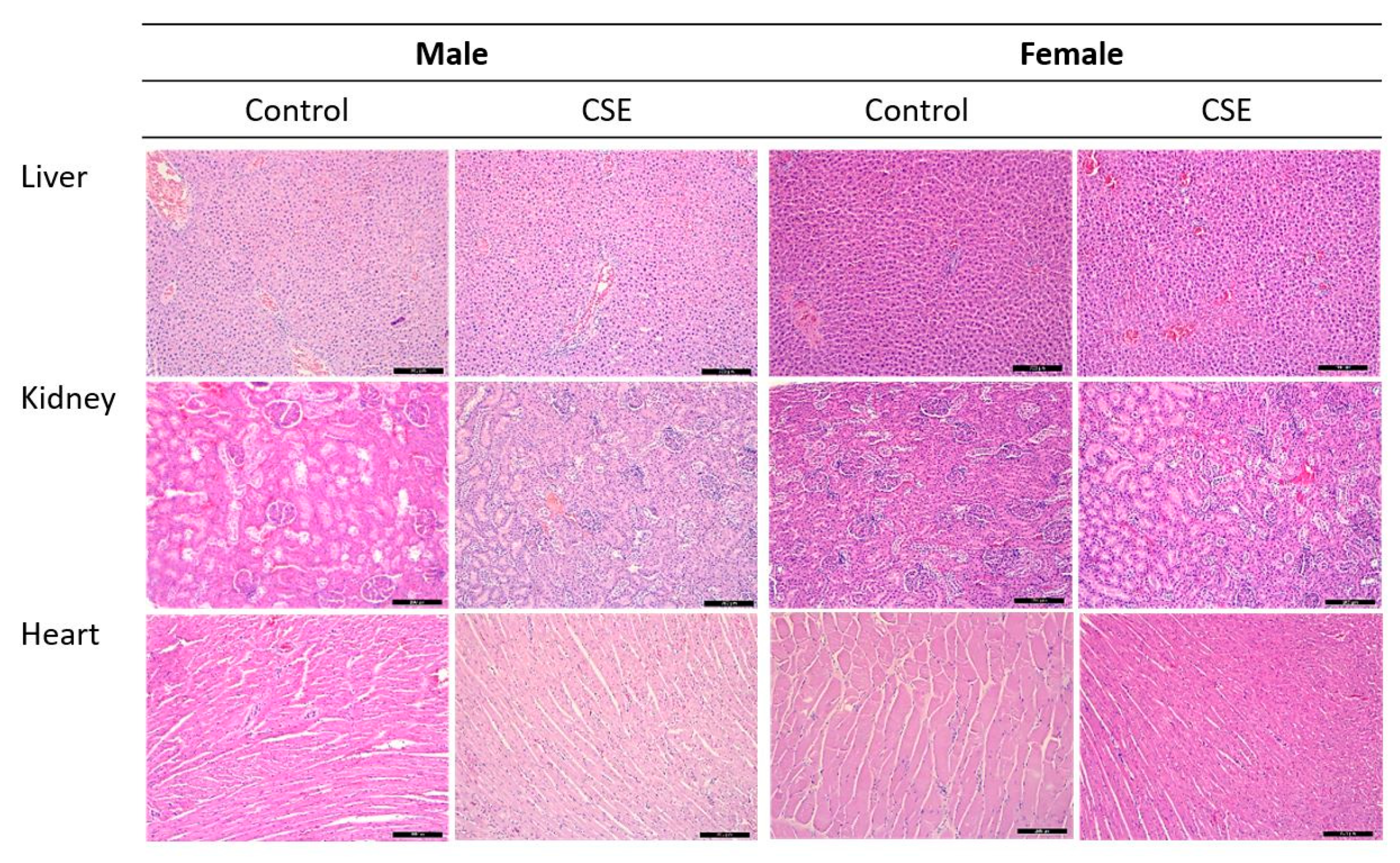 Nutrients 11 02693 g002 Nutrients 11 02693 g002