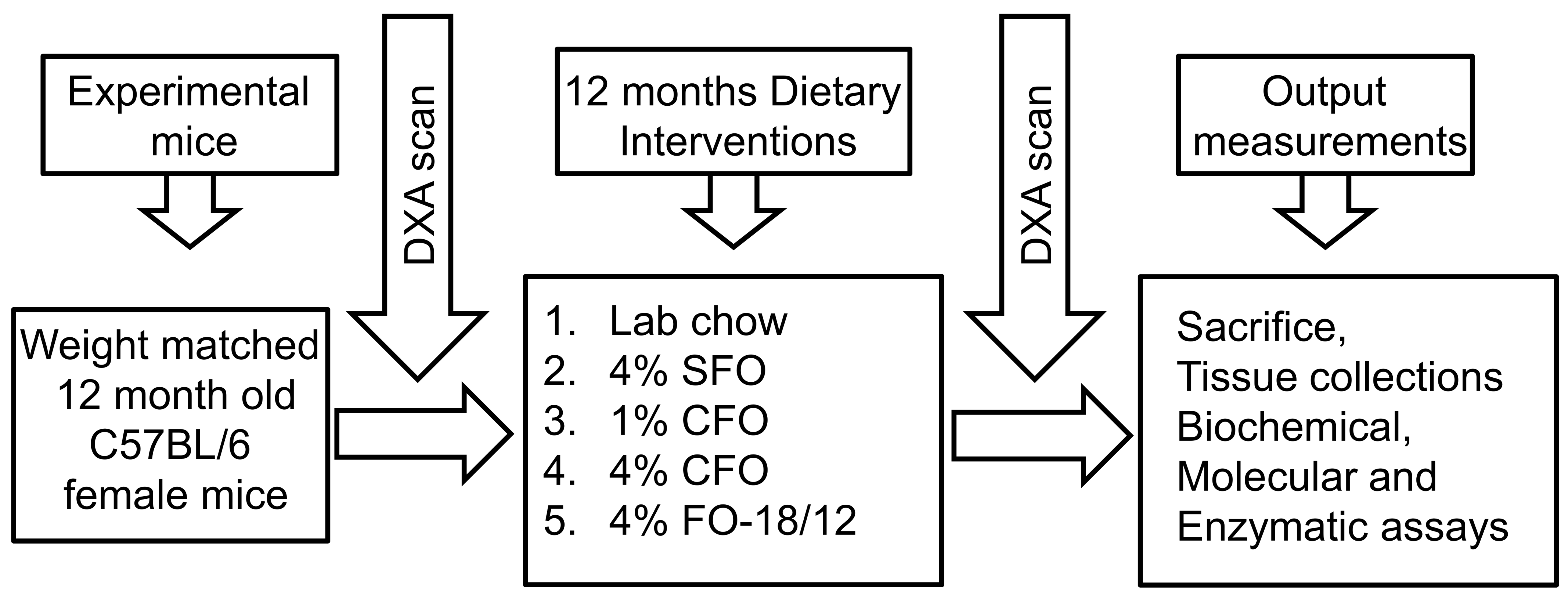 Nutrients 11 02701 g001