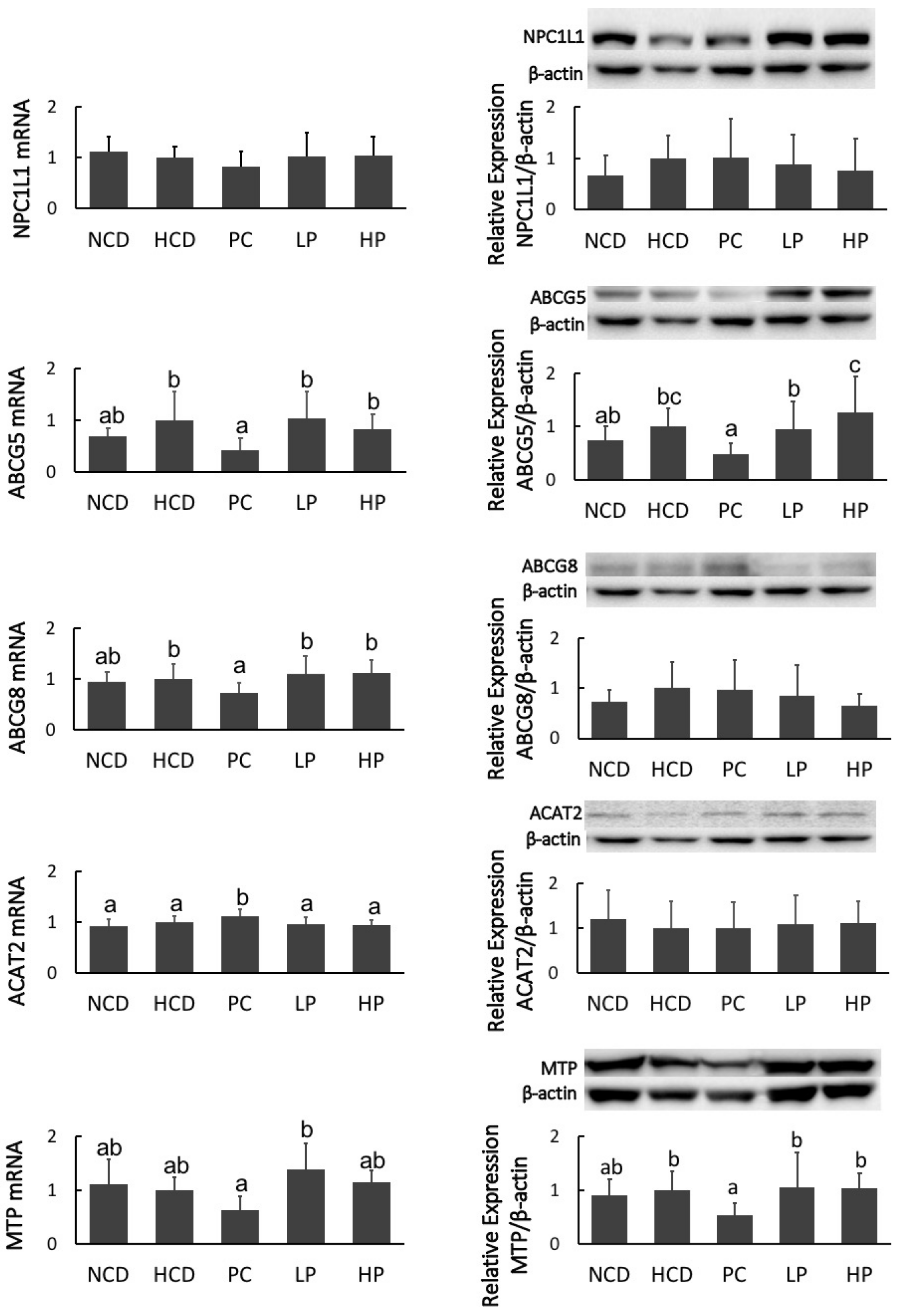 Nutrients 11 02784 g008