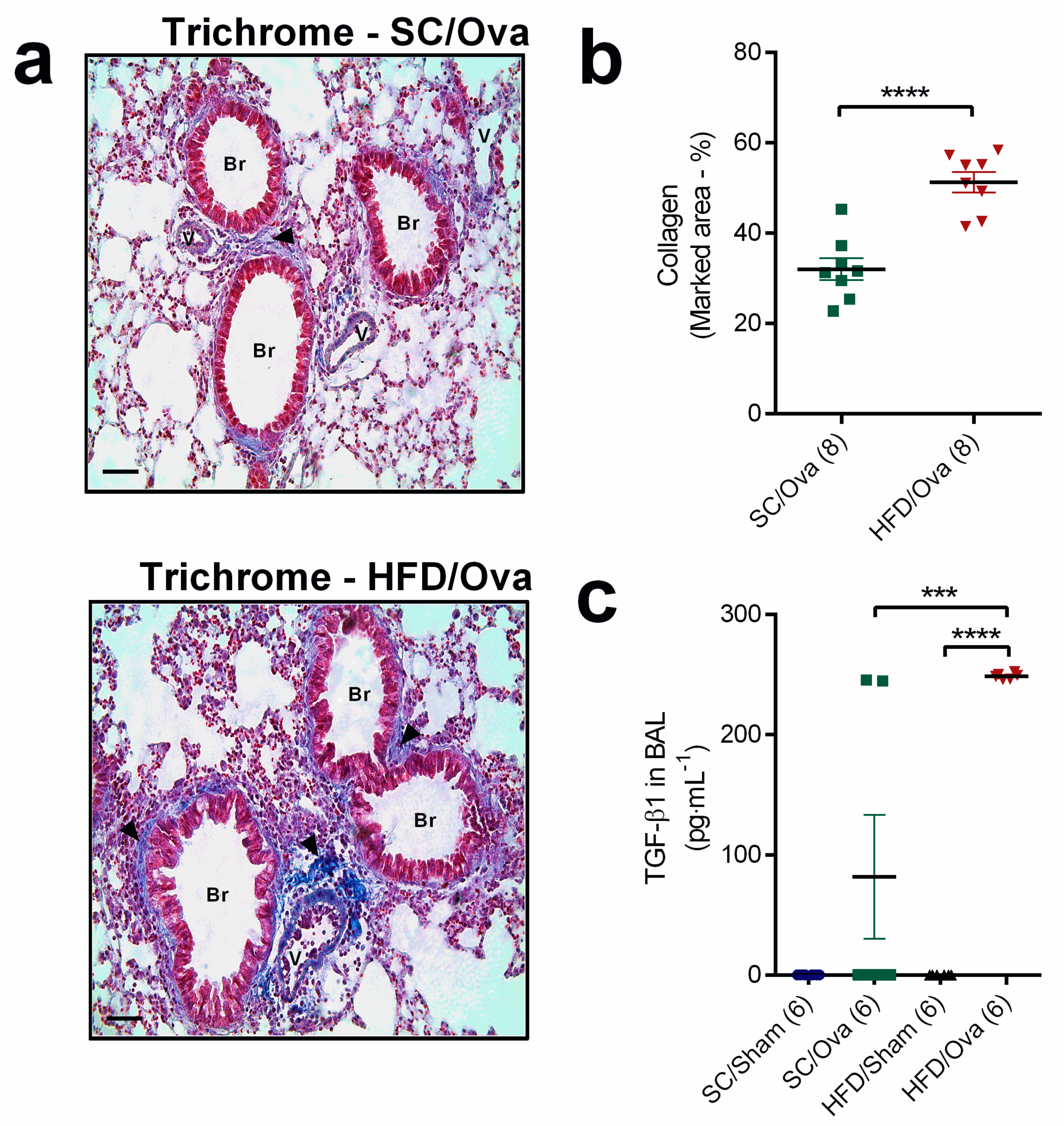 Nutrients 11 02902 g004