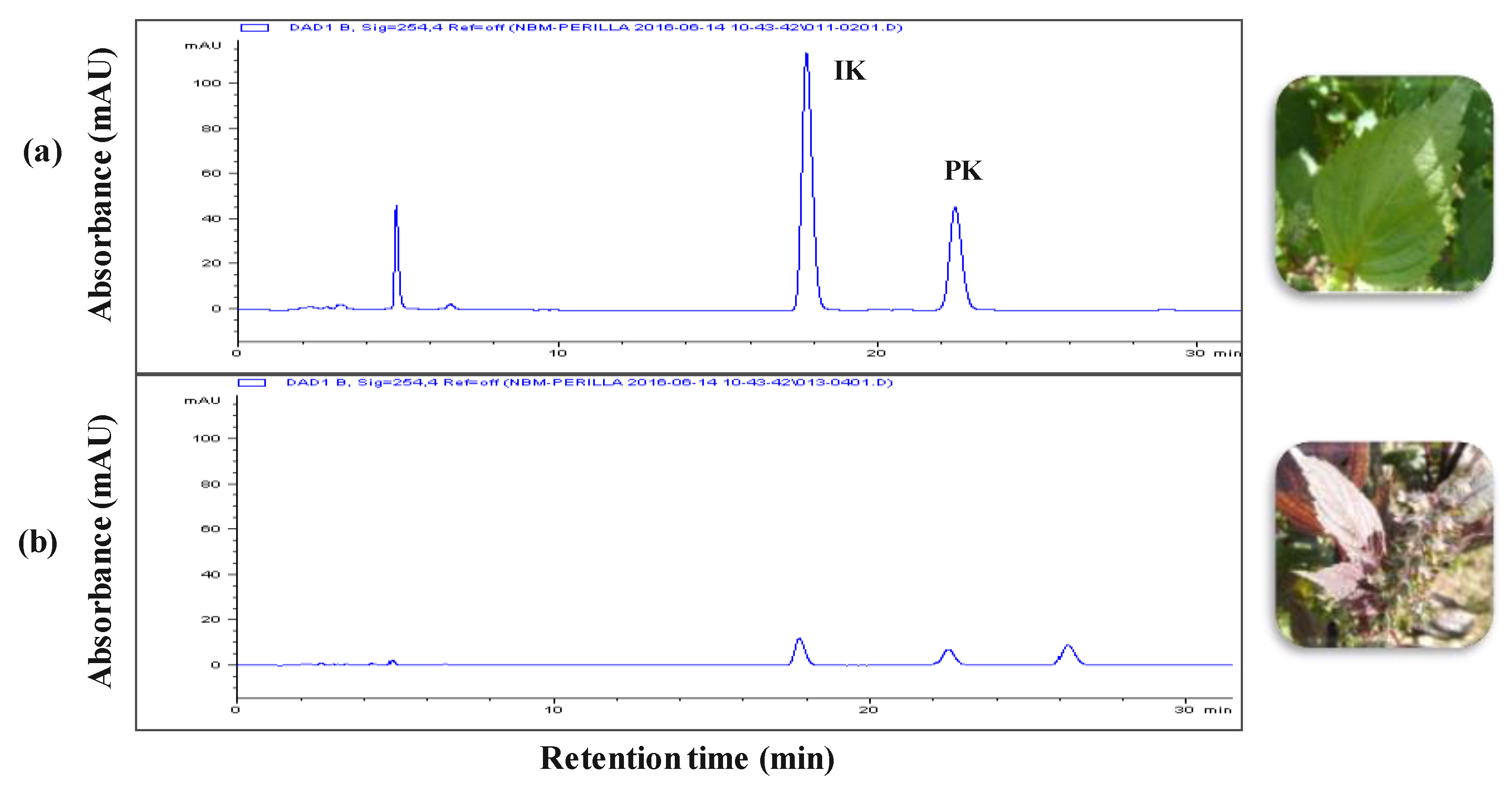 Nutrients 11 02959 g001 Nutrients 11 02959 g001