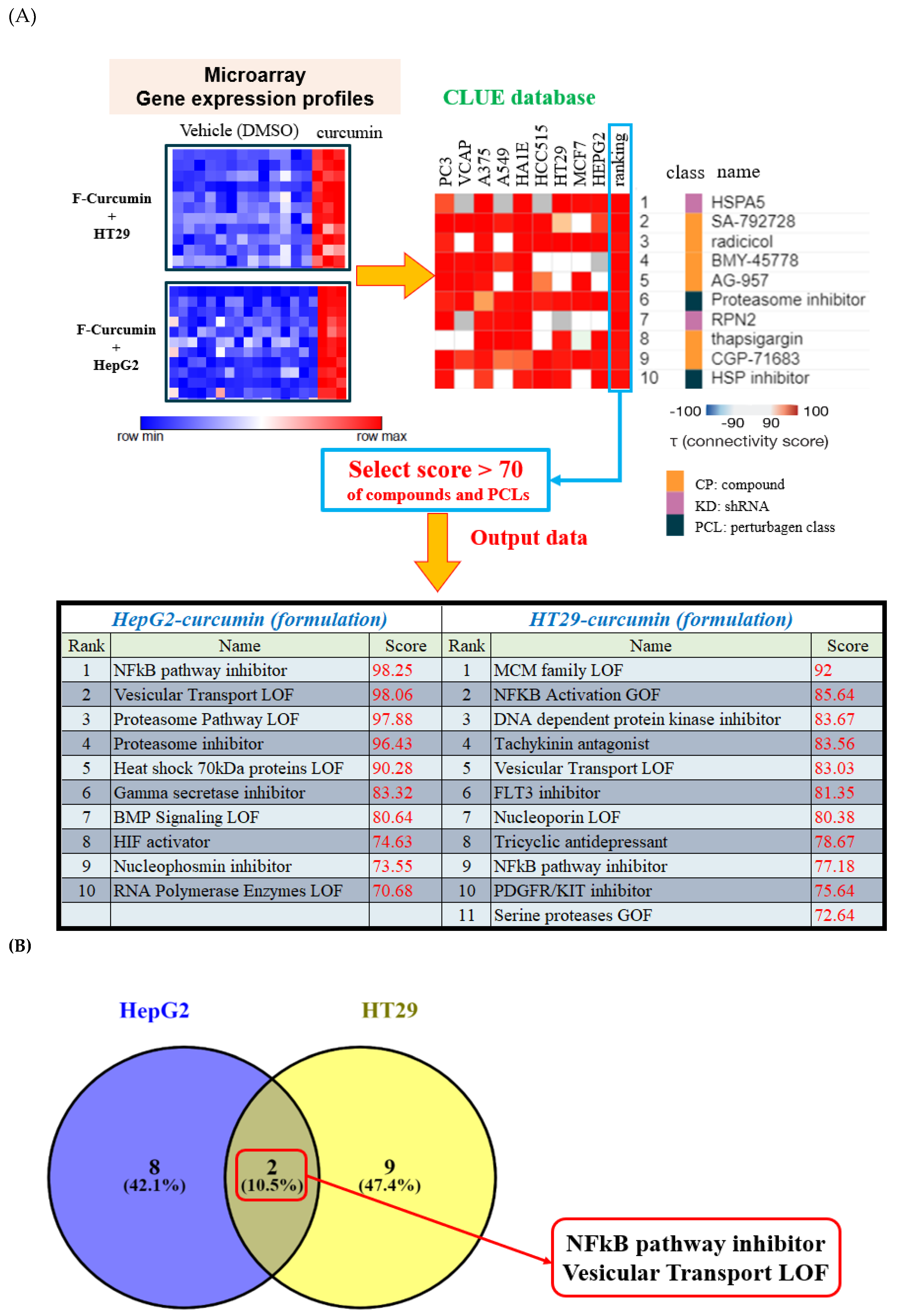 Nutrients 11 02982 g003a Nutrients 11 02982 g003a