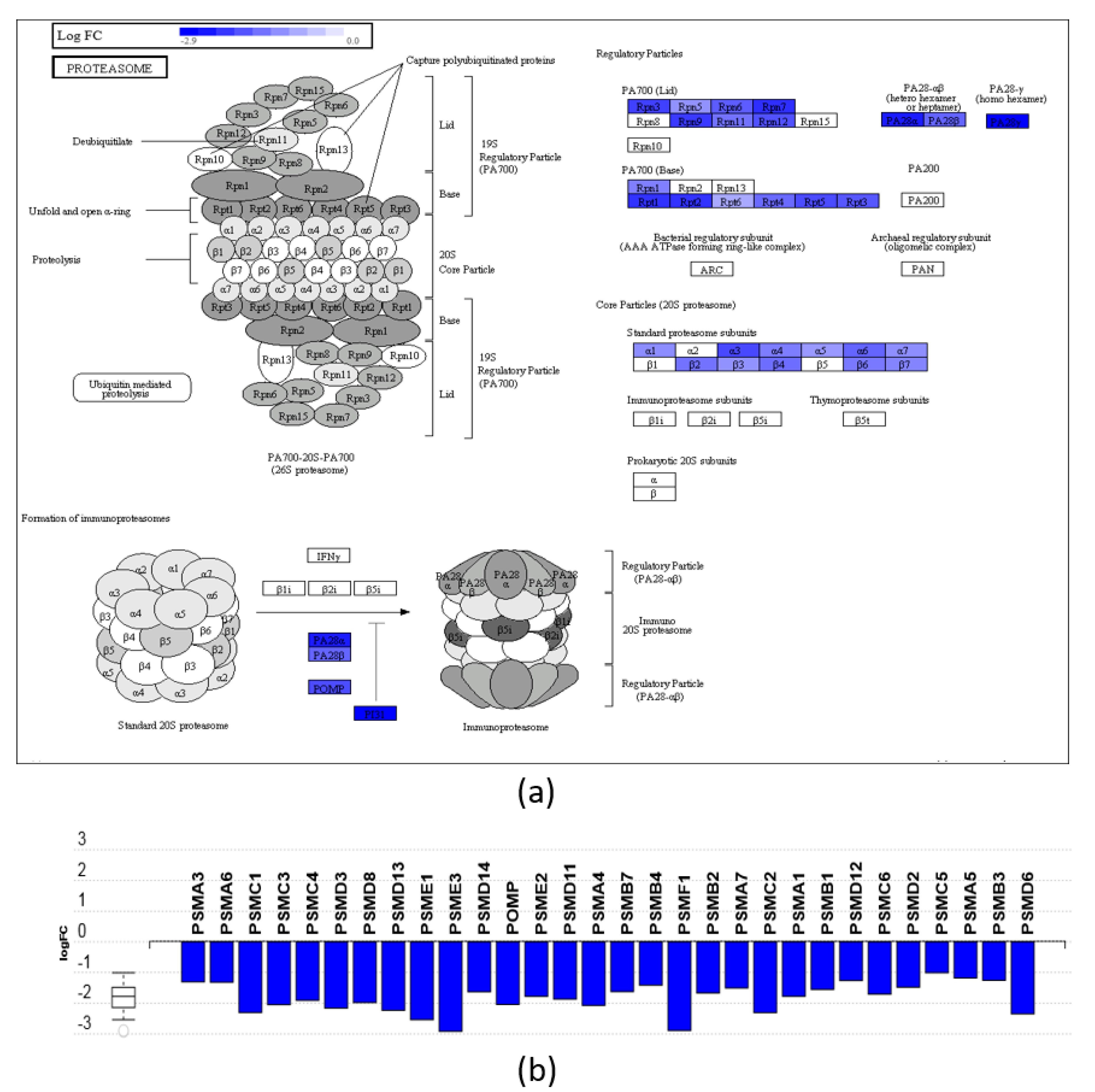 Nutrients 11 02984 g004