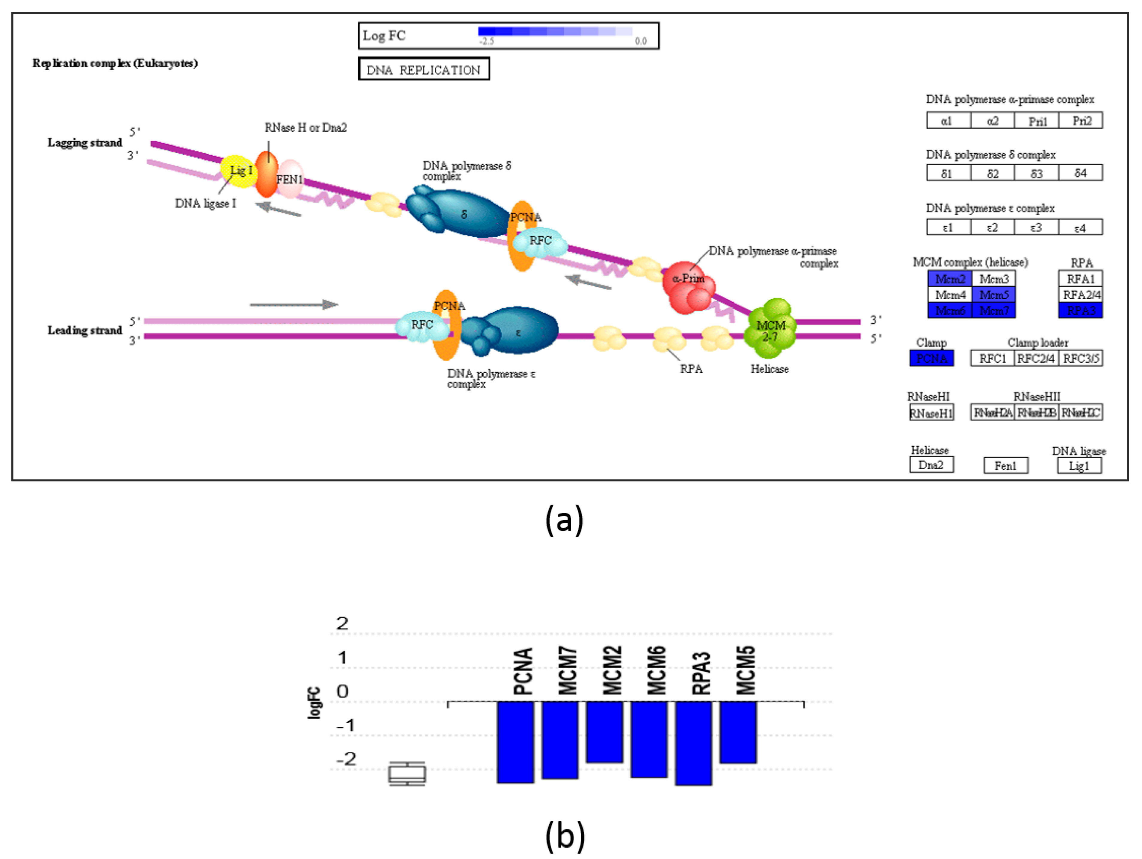 Nutrients 11 02984 g005