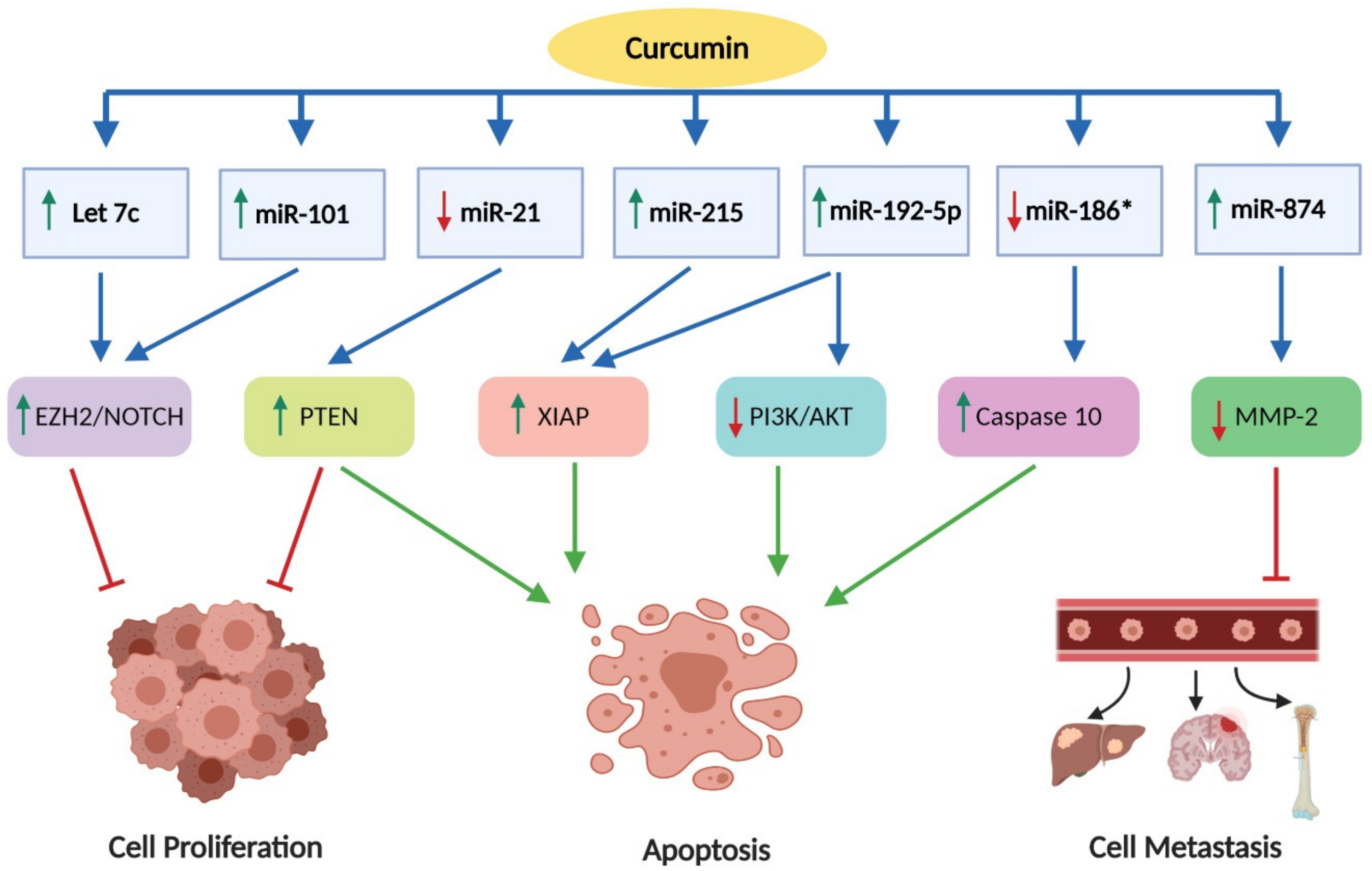 Nutrients 11 02989 g005 Nutrients 11 02989 g005