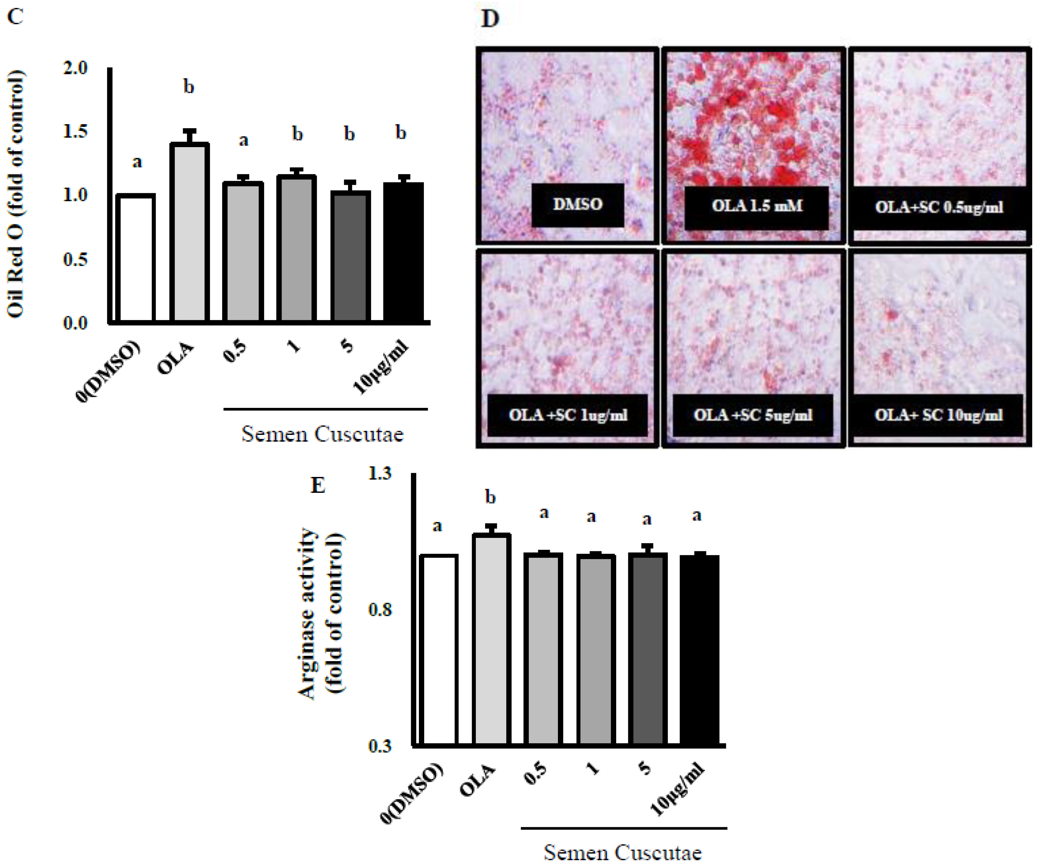 Nutrients 11 03035 g001b Nutrients 11 03035 g001b