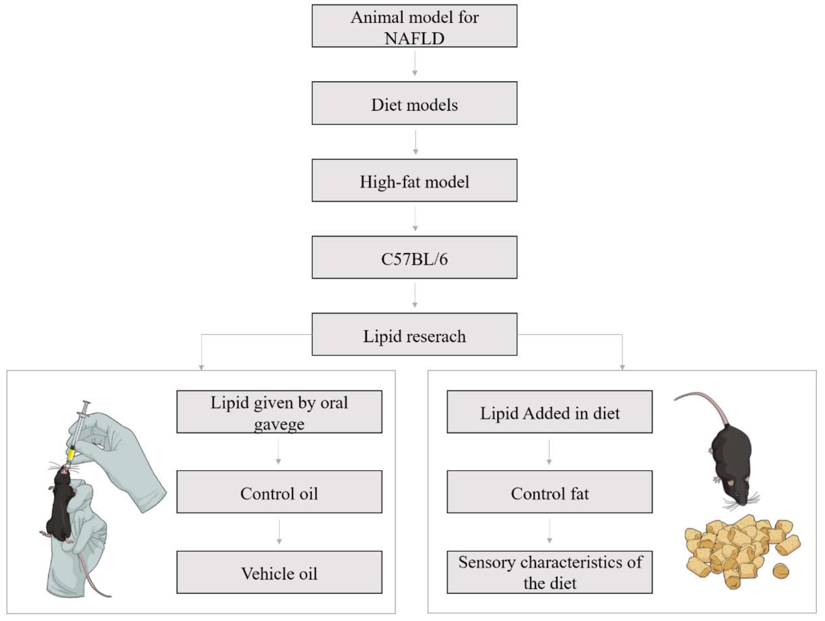 Nutrients 11 03067 g001