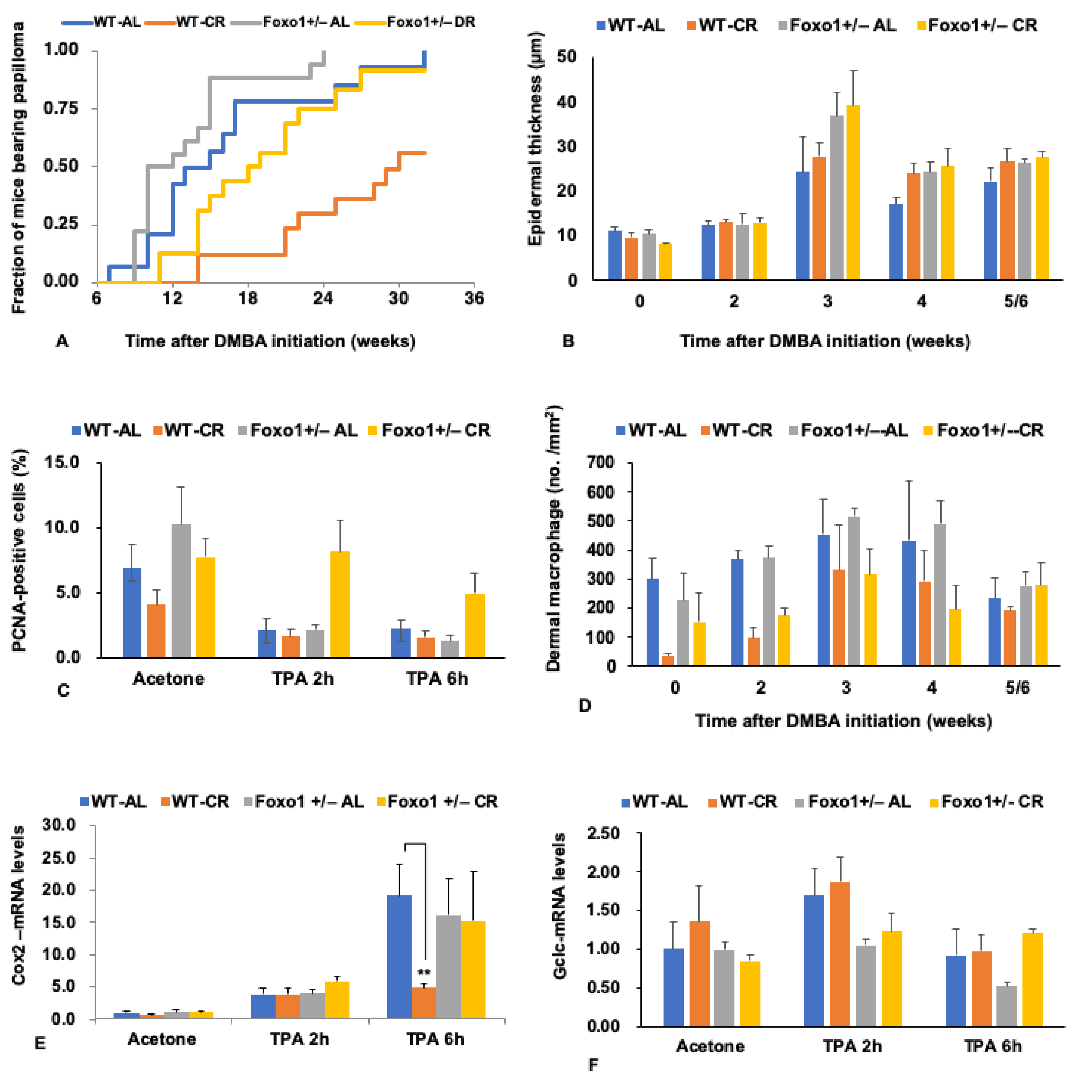 Nutrients 11 03068 g002