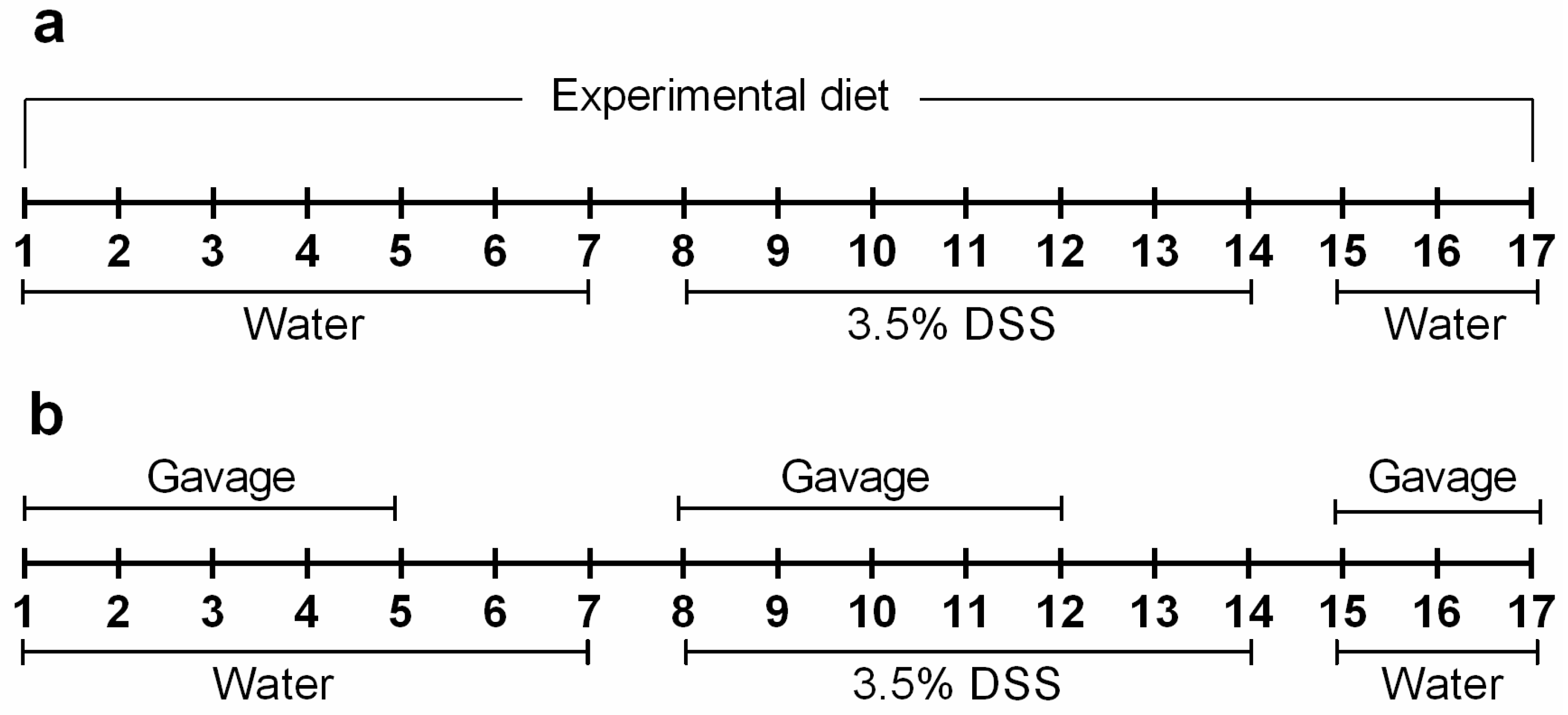 Nutrients 11 03072 g001 Nutrients 11 03072 g001